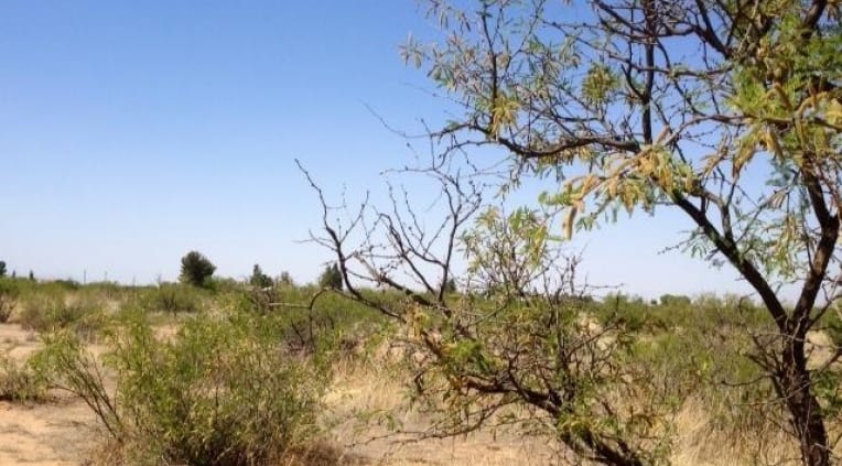 Cochise County Tract 5 photo 5
