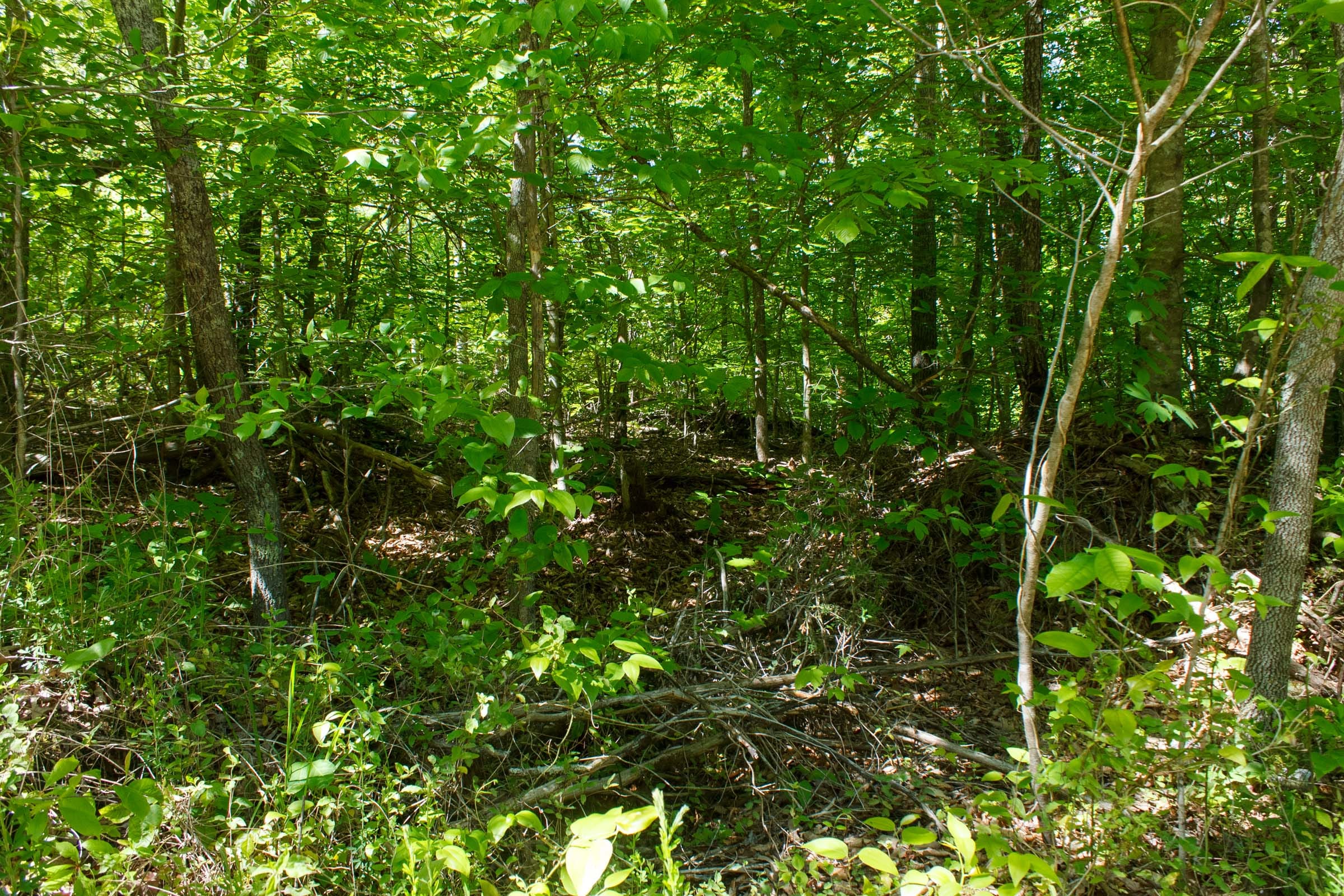 Riverbend Tract 10 photo 2