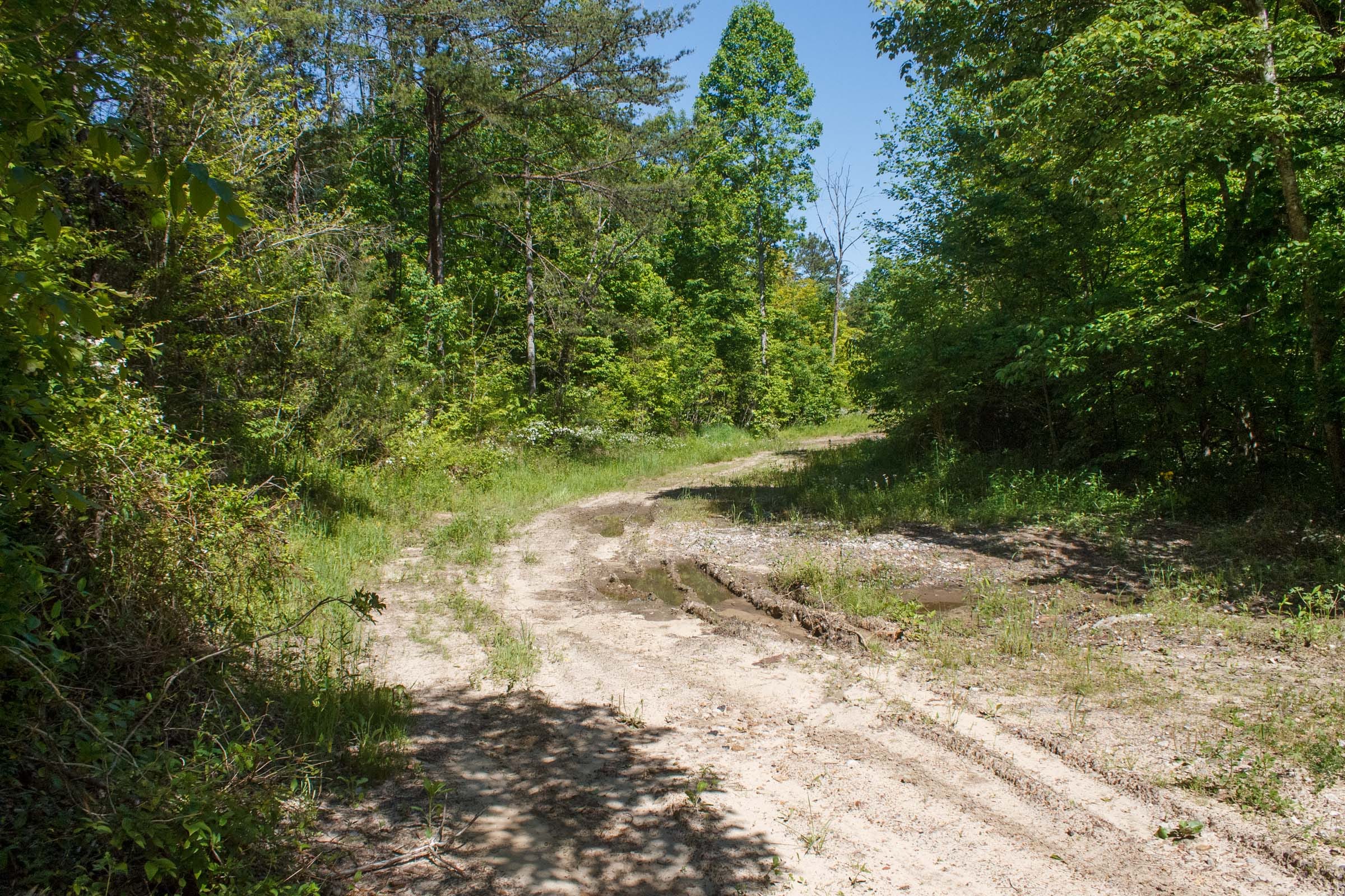 Riverbend Tract 10 photo 3