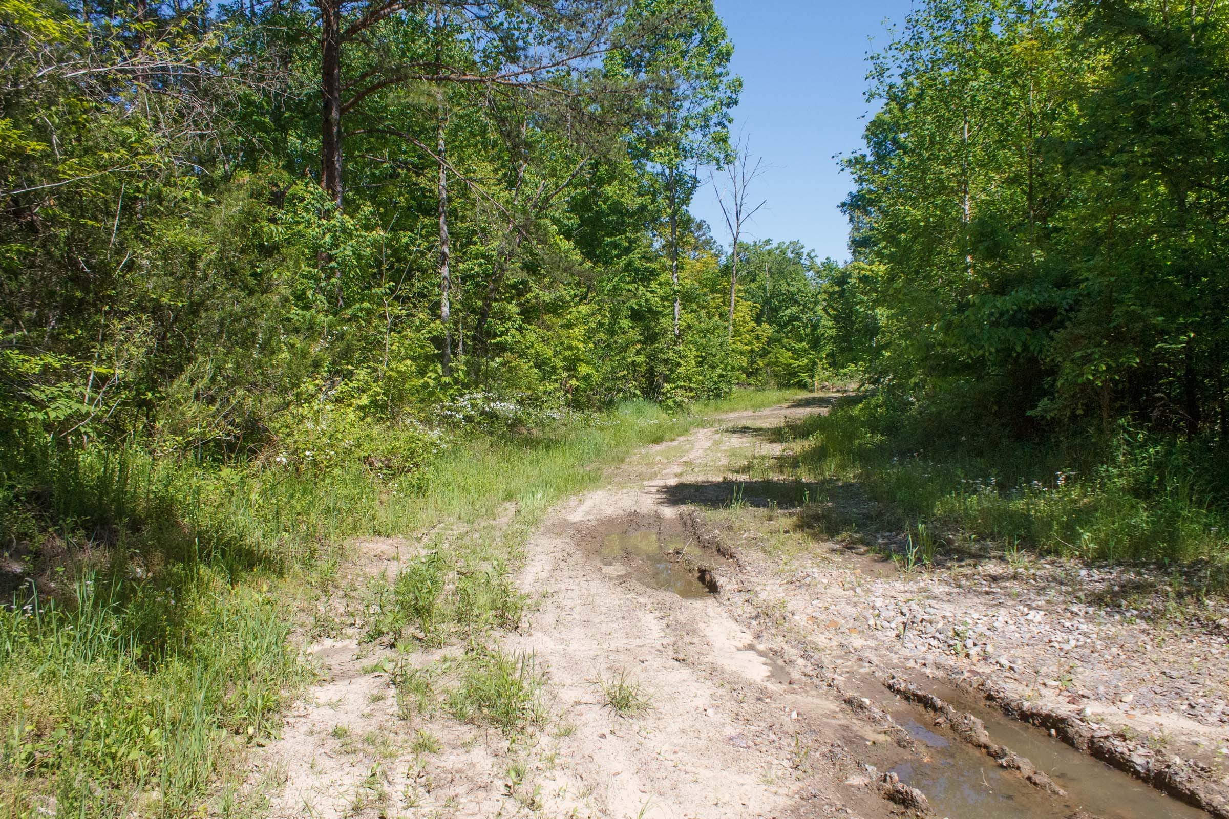 Riverbend Tract 10 photo 5