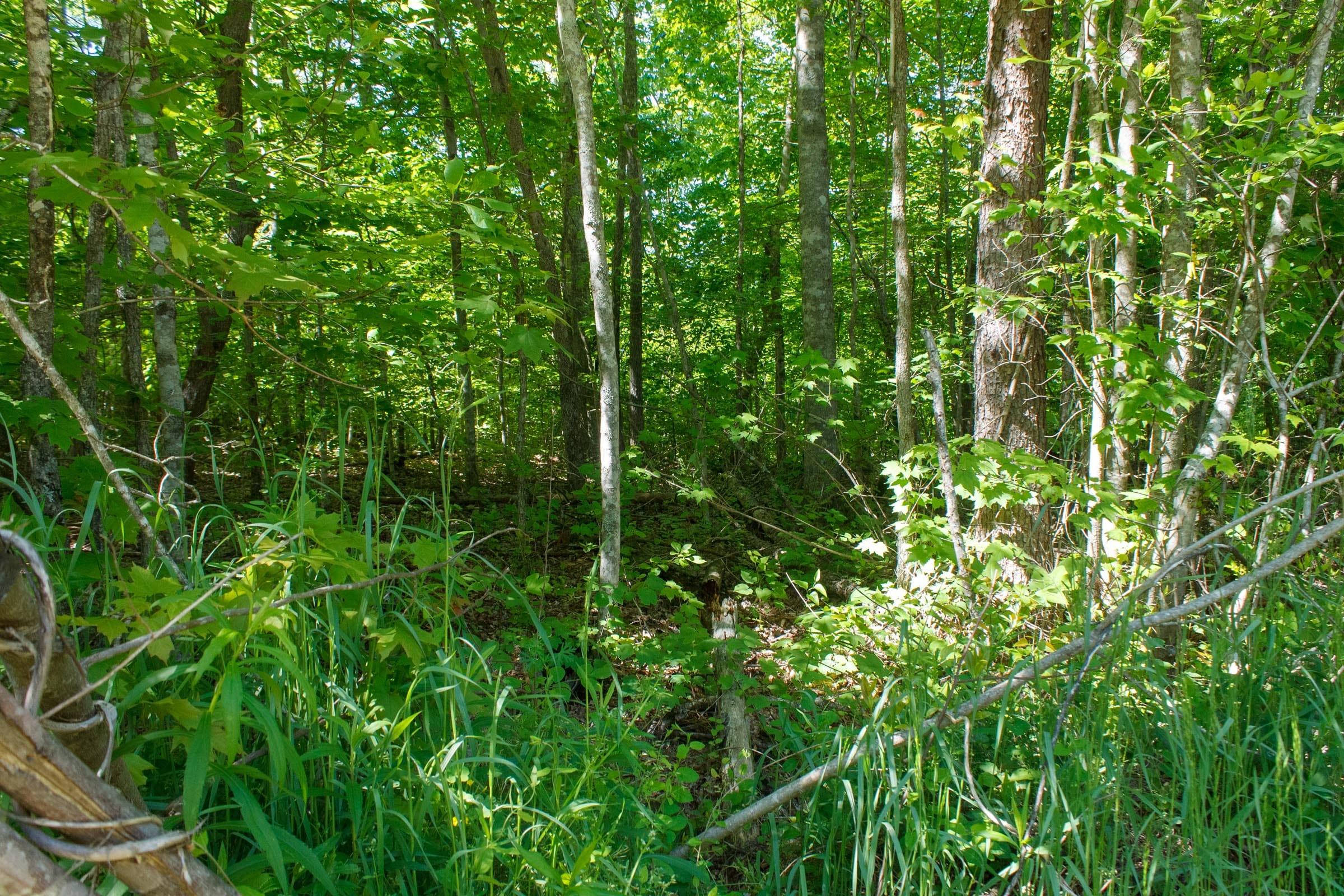 Riverbend Tract 10 photo 6