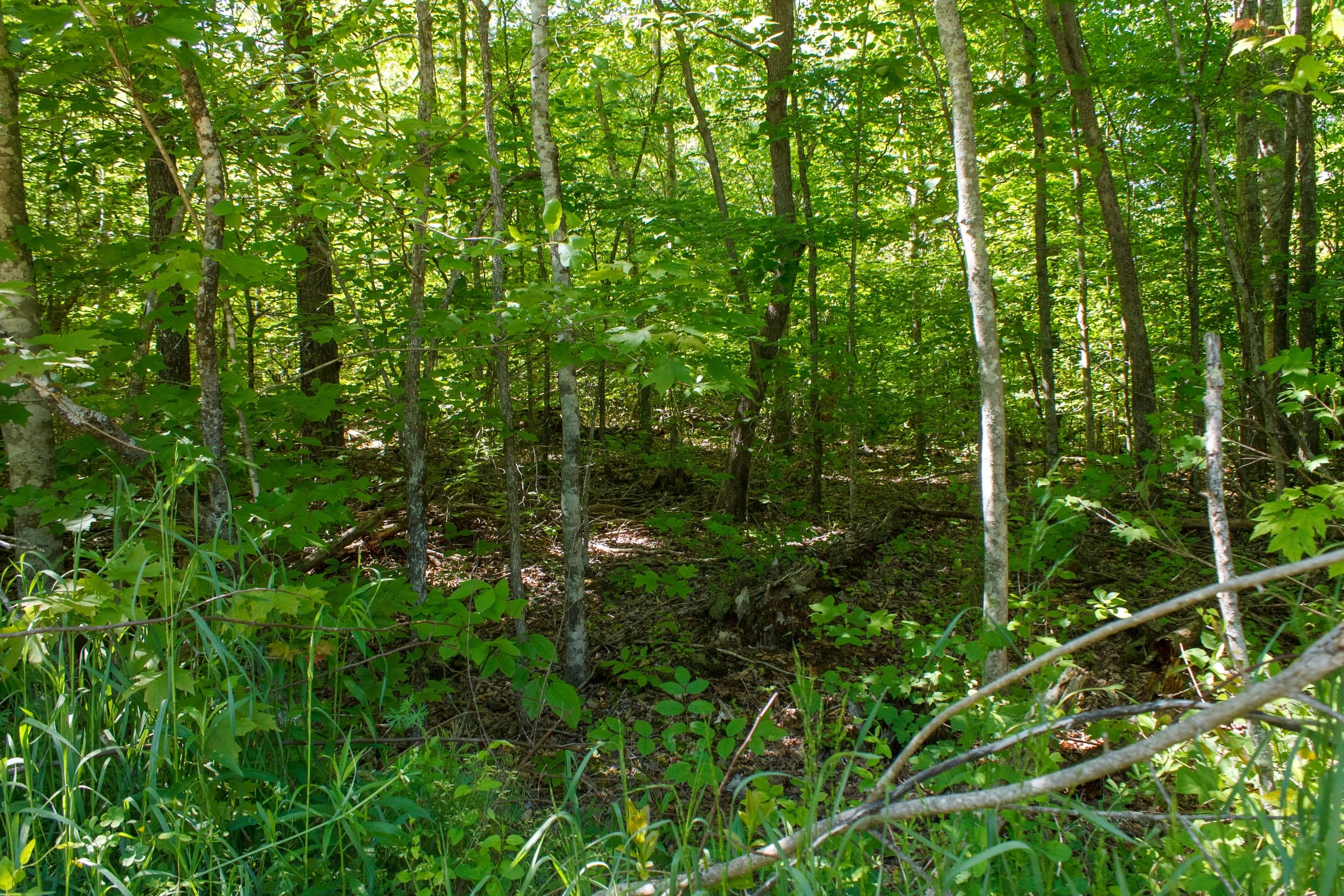 Riverbend Tract 10 photo 7