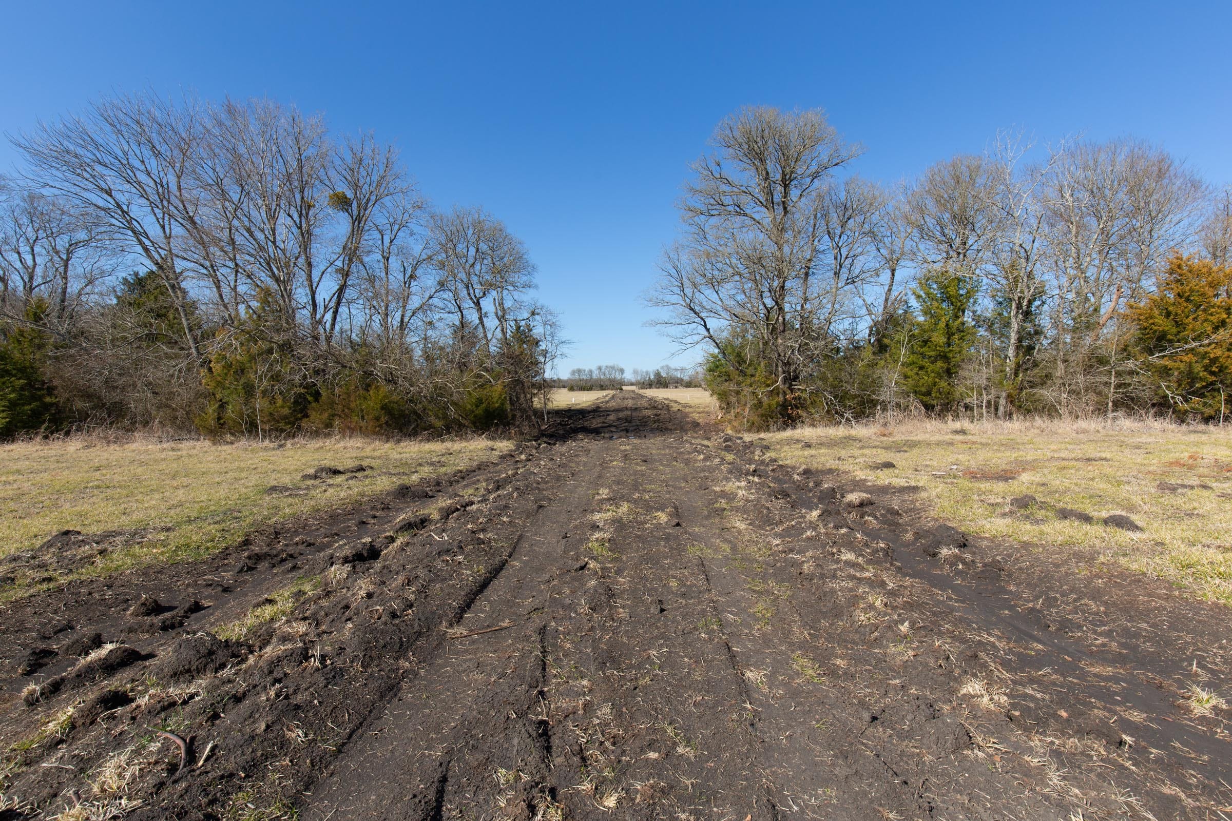 Wishing Star Ranch Tract 85 photo 1