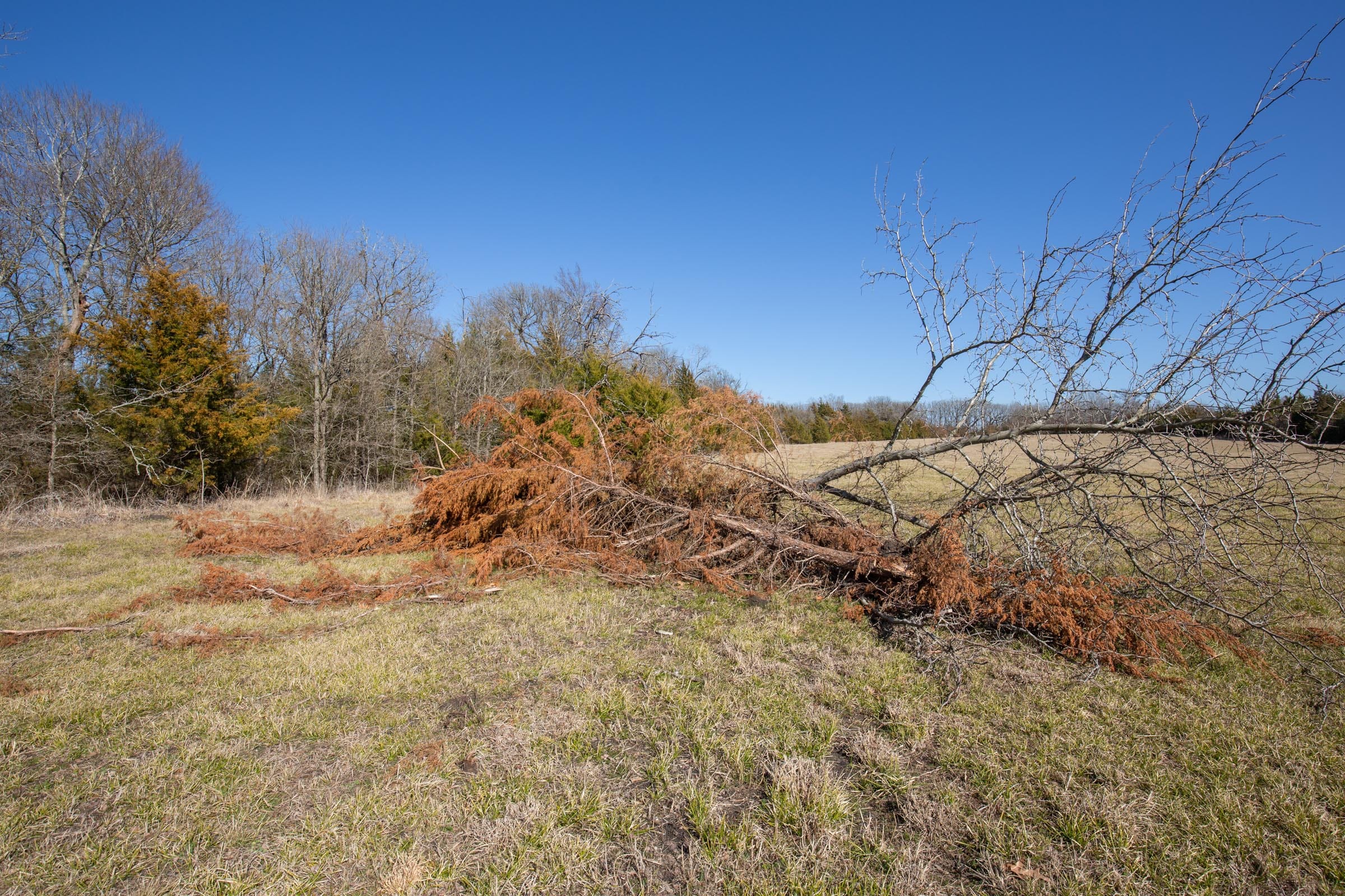 Wishing Star Ranch Tract 85 photo 2