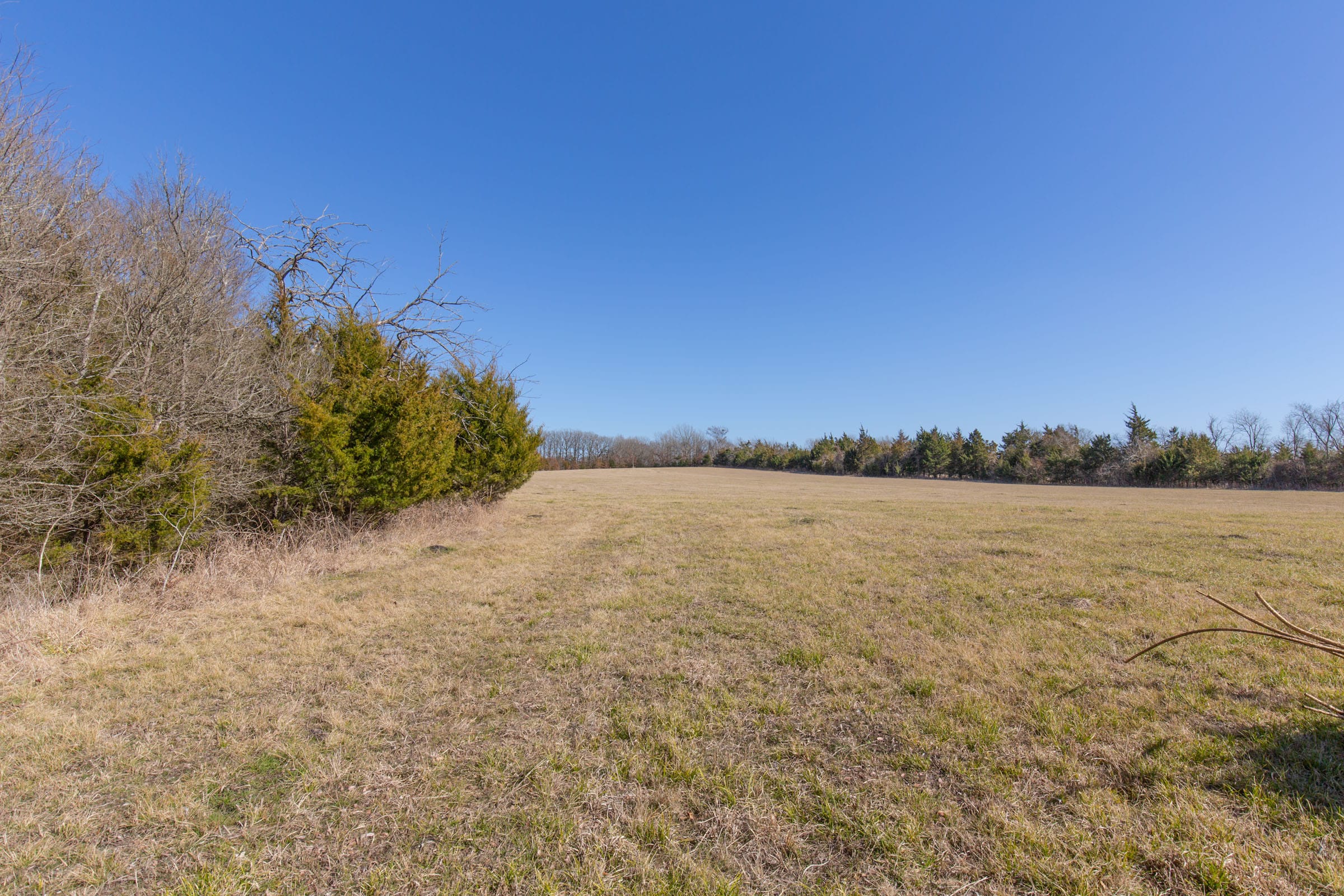 Wishing Star Ranch Tract 85 photo 6