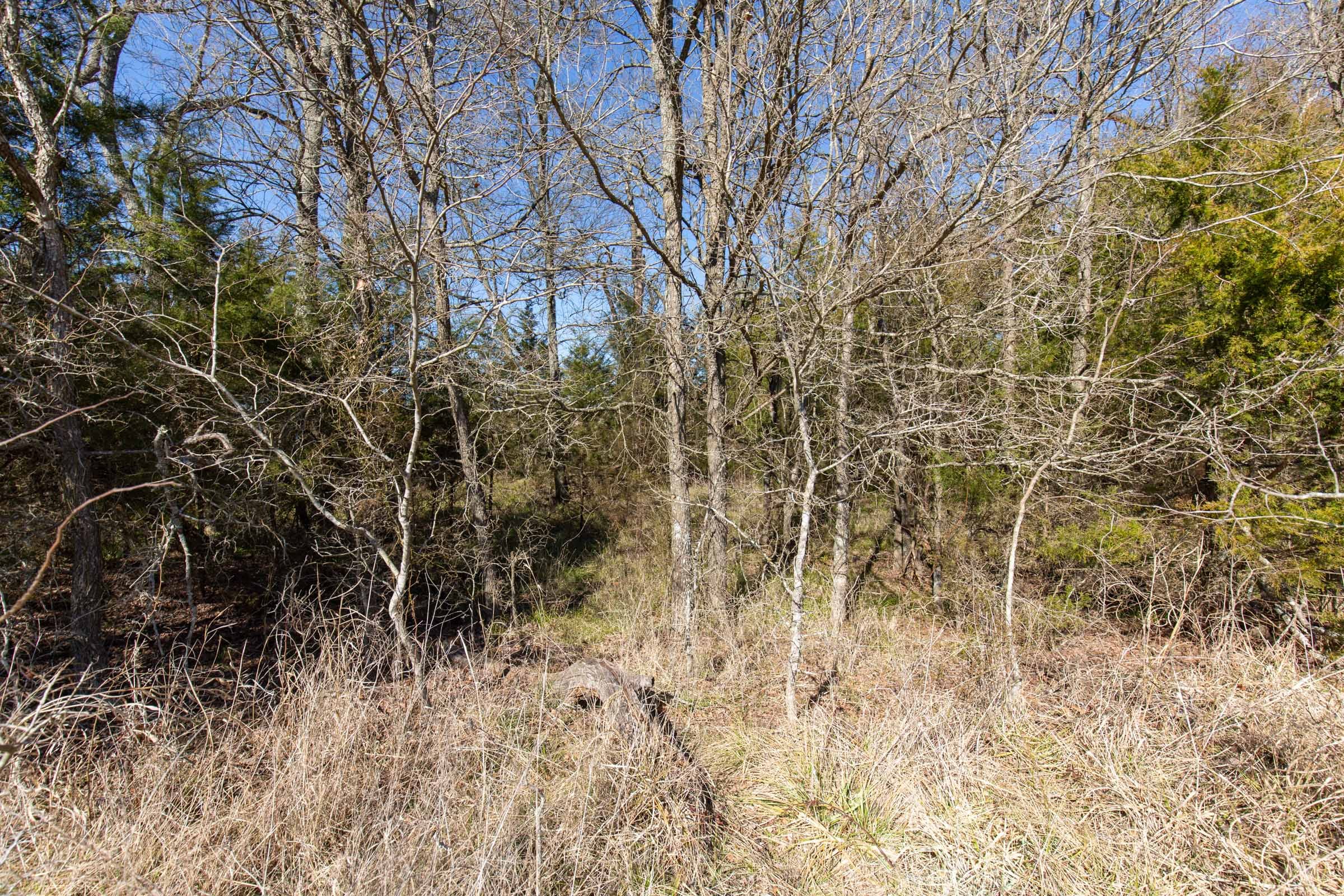 Wishing Star Ranch Tract 85 photo 7