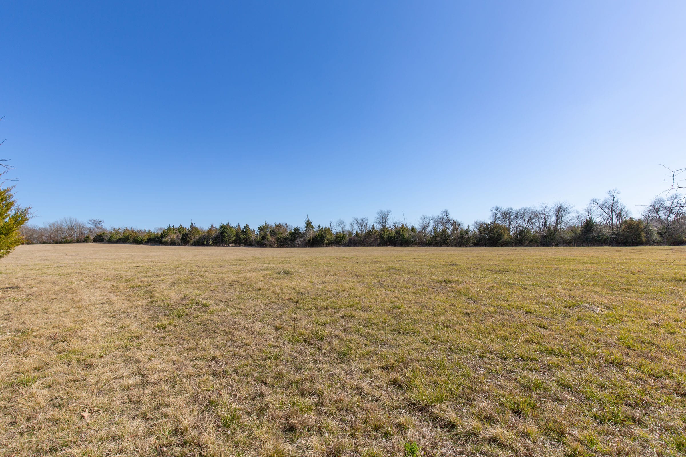 Wishing Star Ranch Tract 85 photo 8