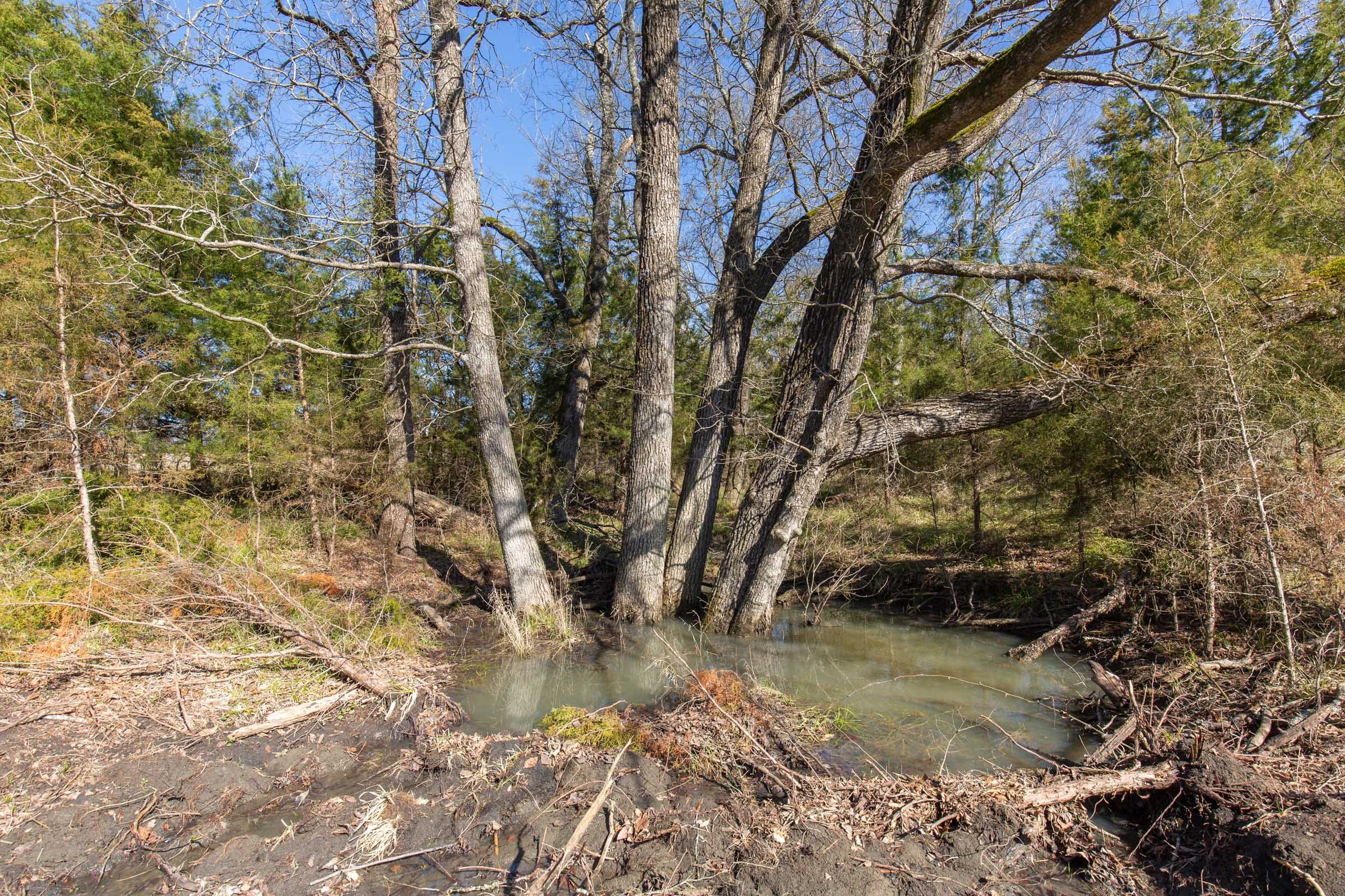 Wishing Star Ranch Tract 85 photo 9