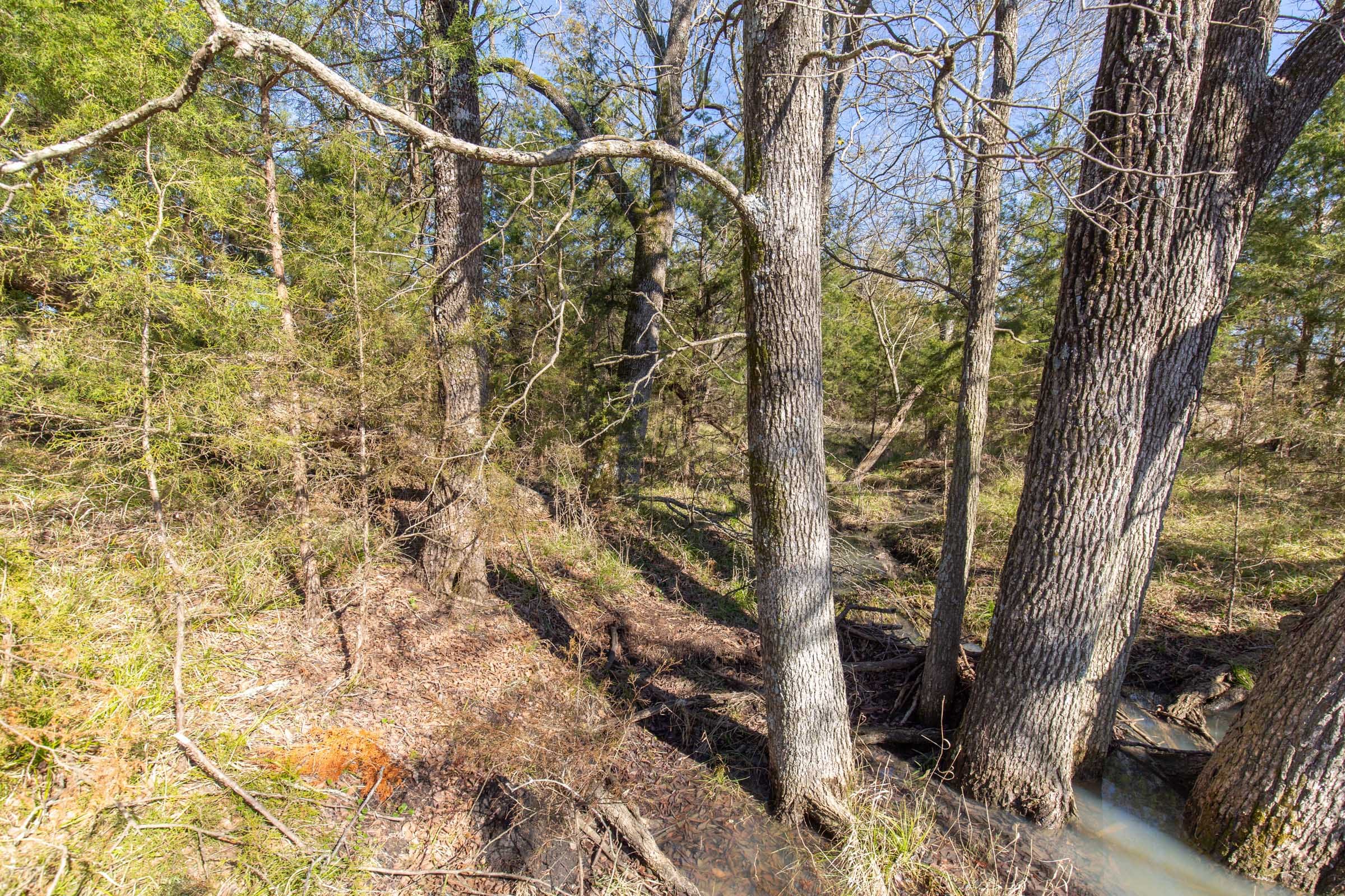Wishing Star Ranch Tract 85 photo 11