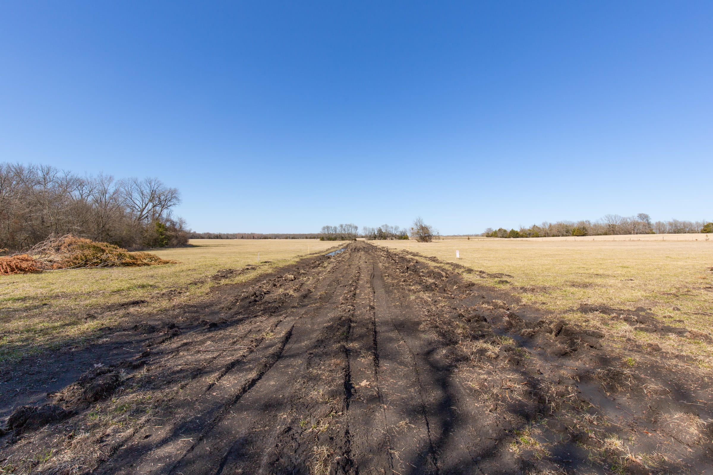 Wishing Star Ranch Tract 85 photo 5