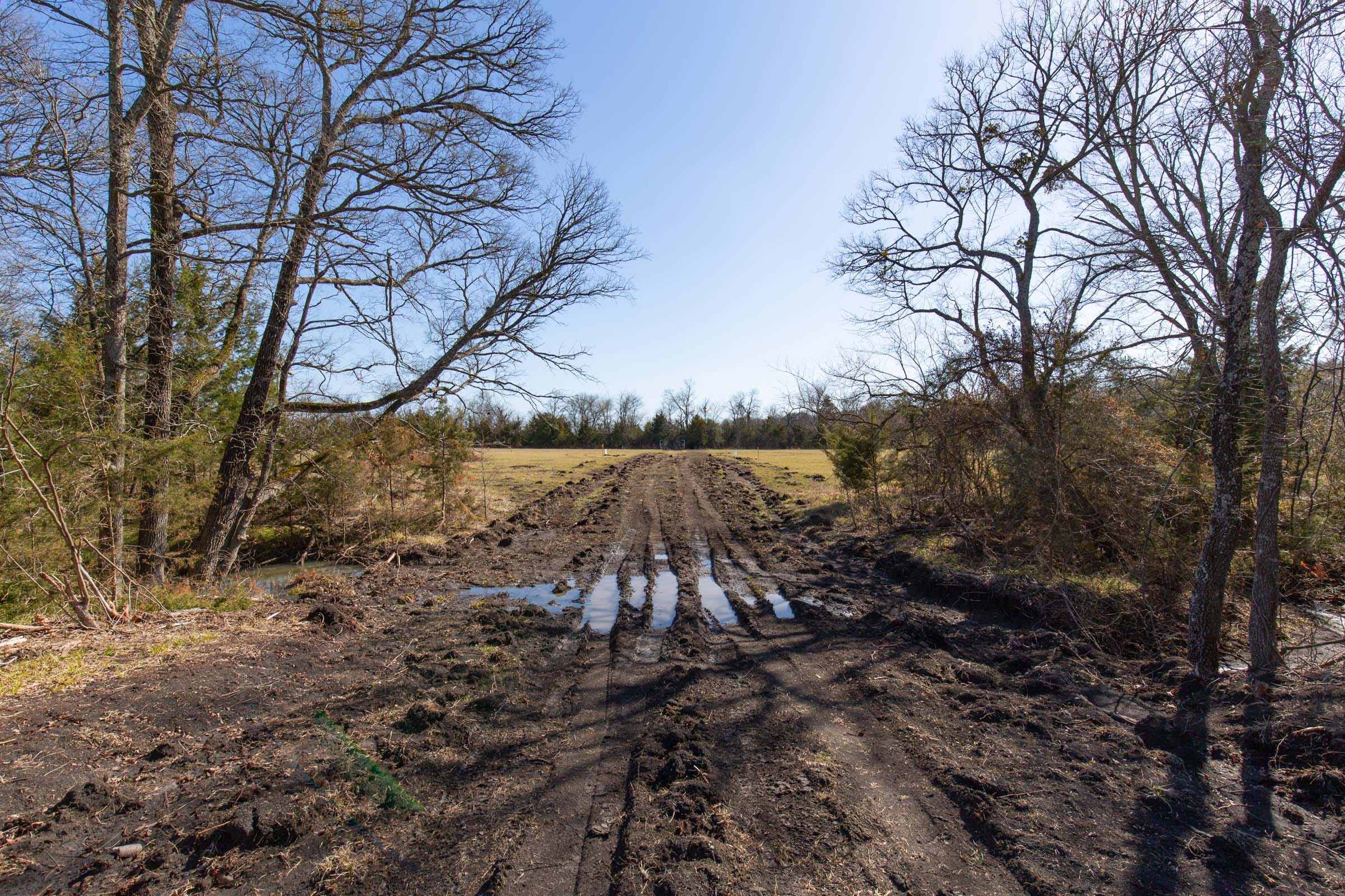 Wishing Star Ranch Tract 85 photo 10