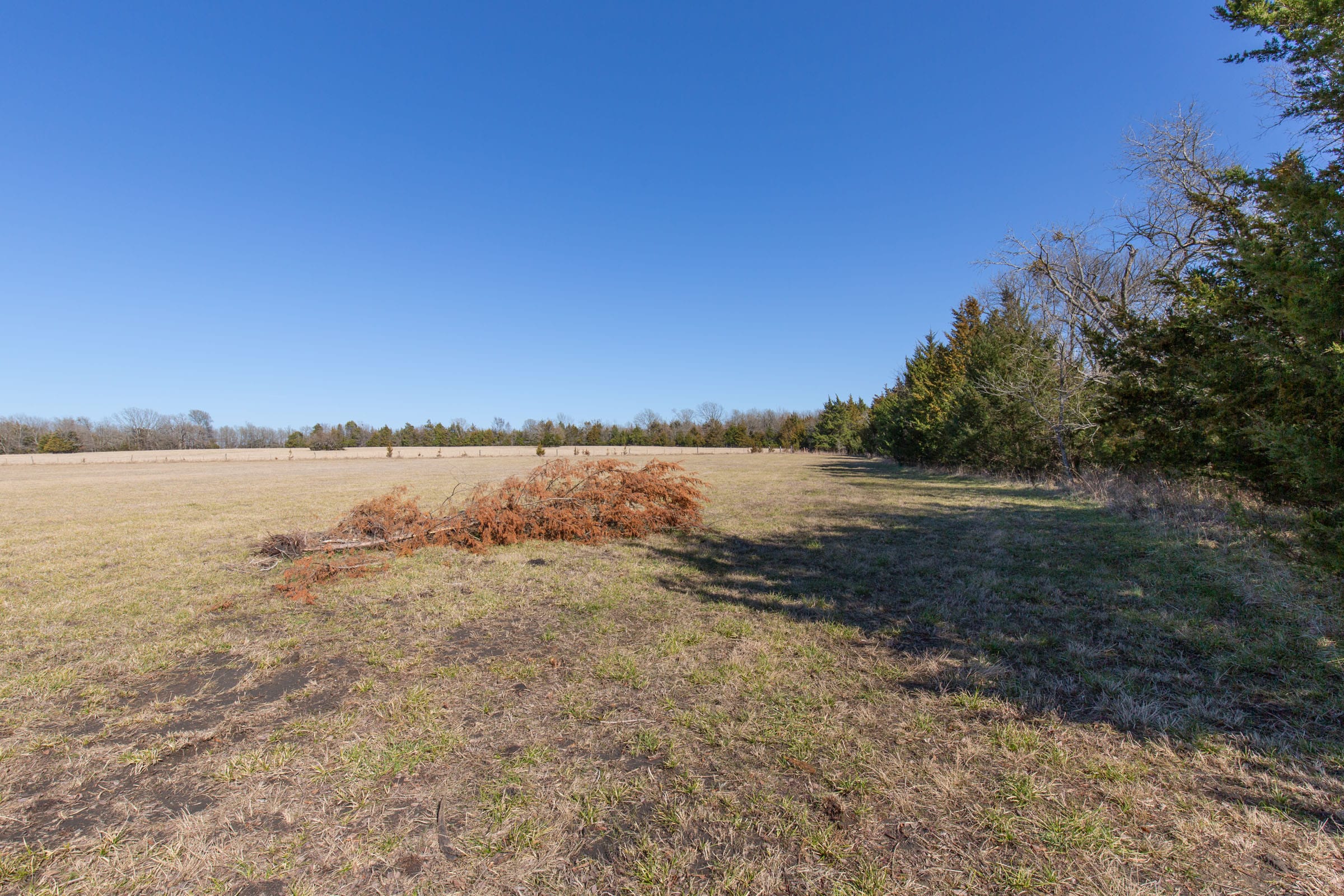Wishing Star Ranch Tract 85 photo 12