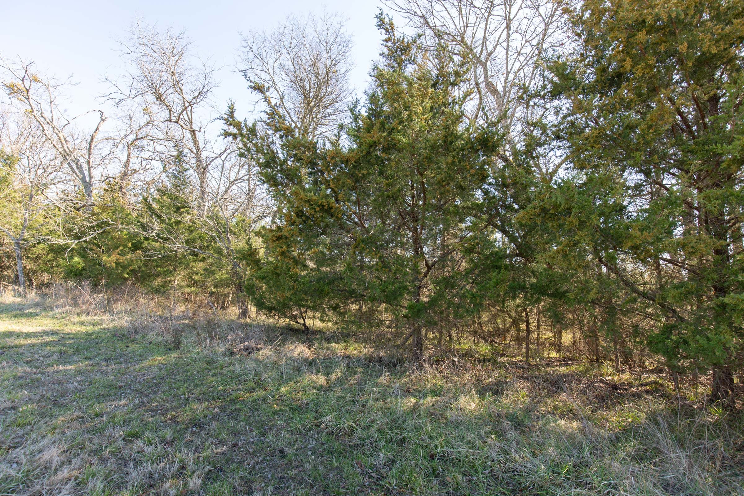 Wishing Star Ranch Tract 85 photo 13