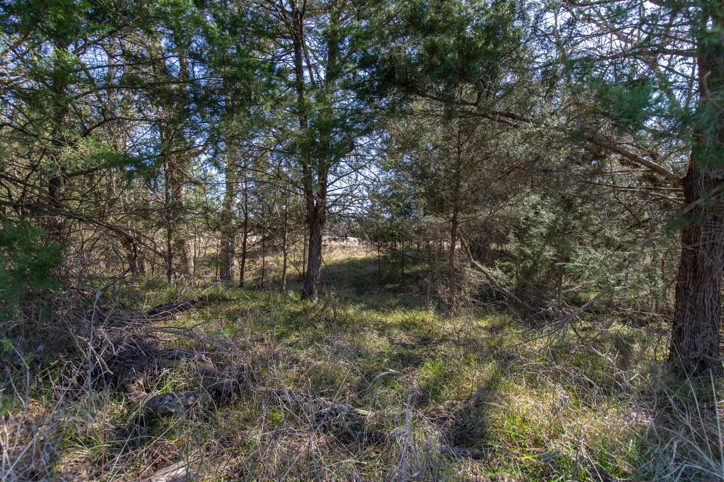 Wishing Star Ranch Tract 85 photo 15