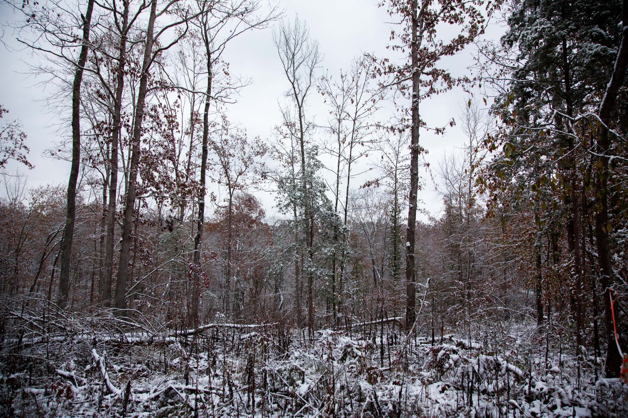 Sweet Water Ranch Tract 7 photo 2