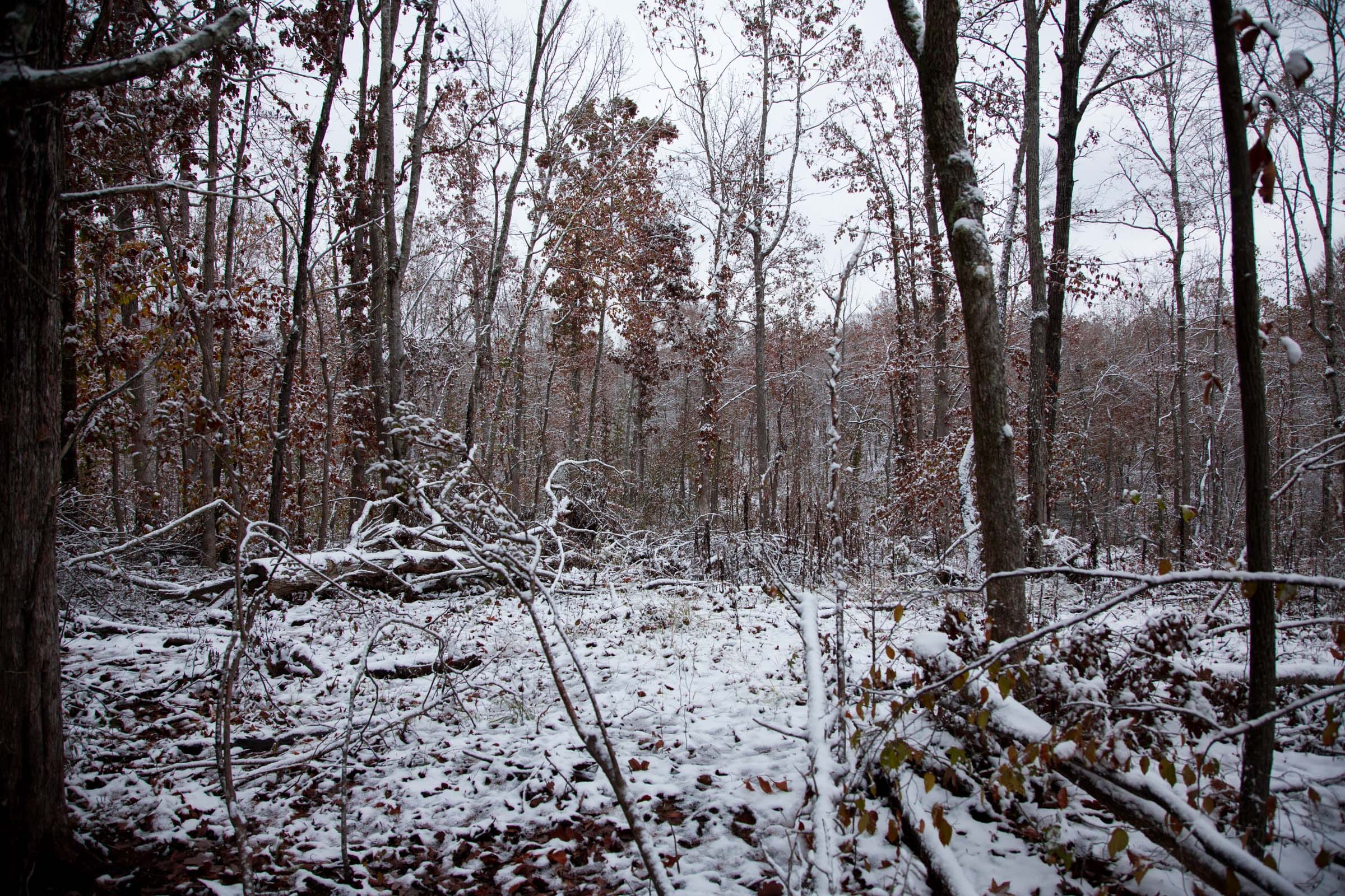 Sweet Water Ranch Tract 7 photo 3