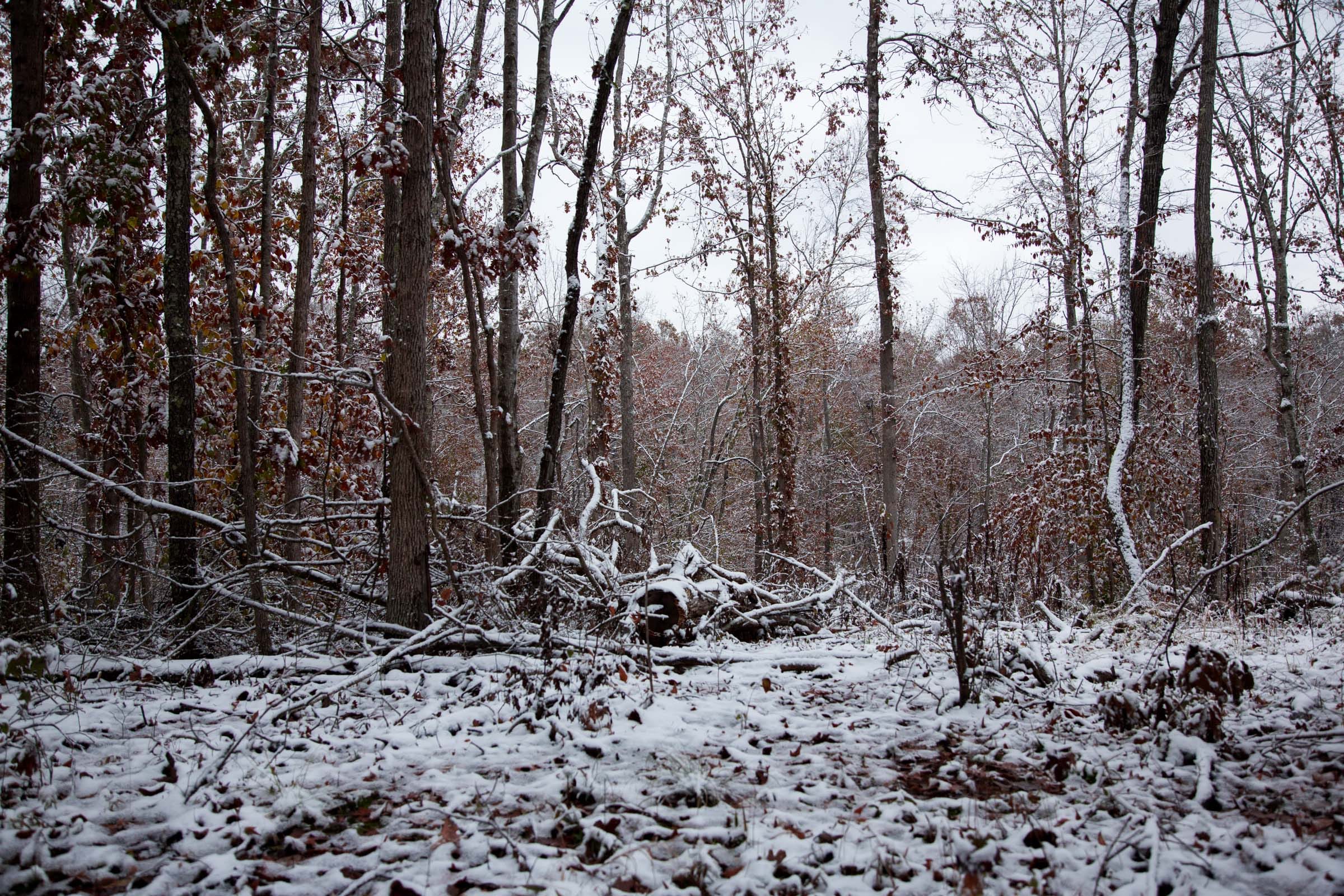 Sweet Water Ranch Tract 7 photo 4