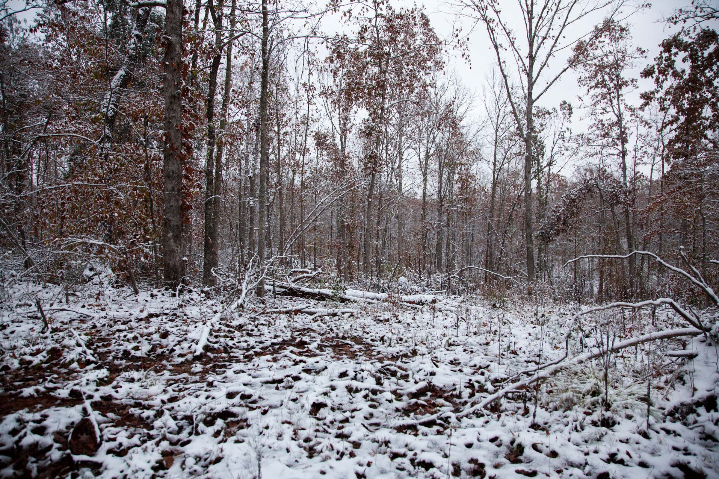 Sweet Water Ranch Tract 7 photo 6