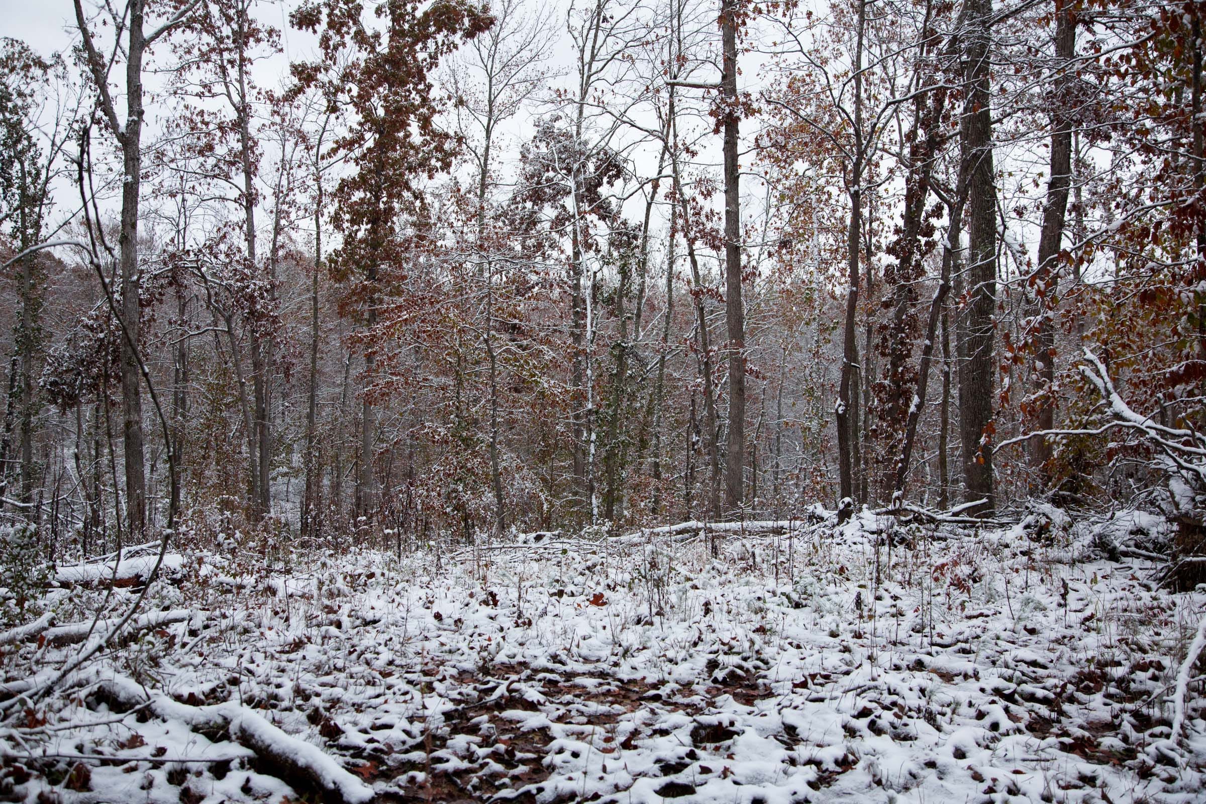 Sweet Water Ranch Tract 7 photo 7