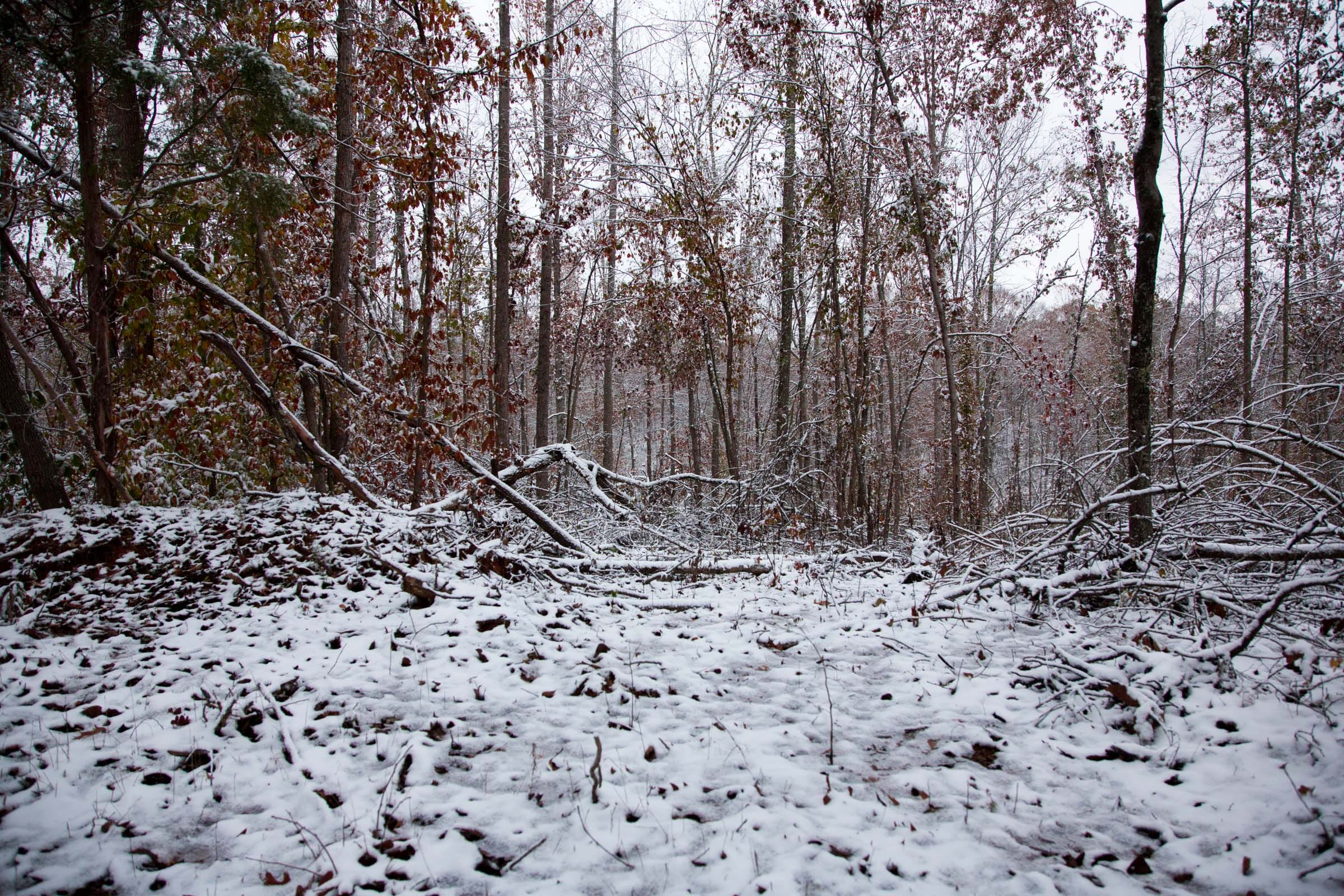 Sweet Water Ranch Tract 7 photo 8