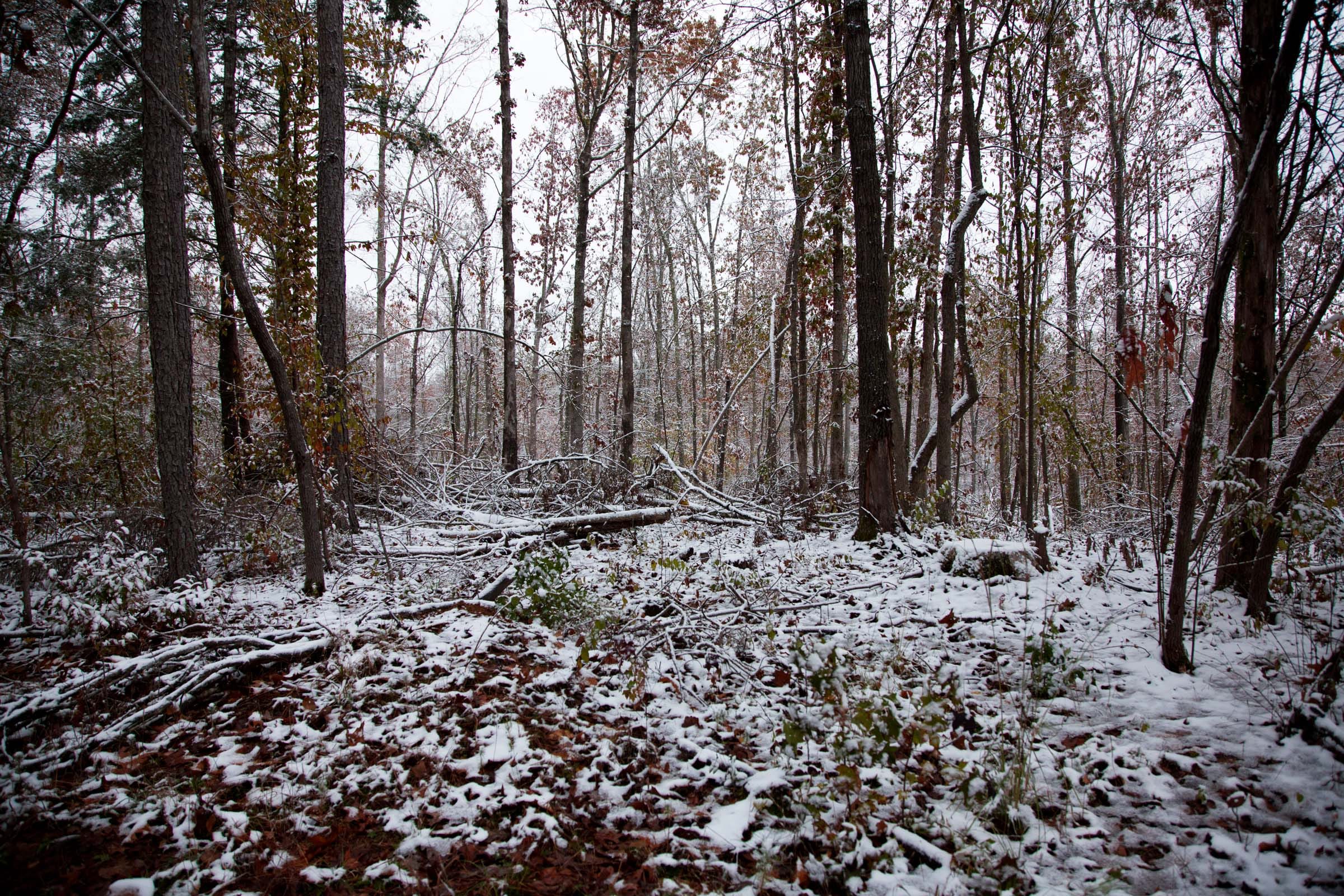 Sweet Water Ranch Tract 7 photo 9