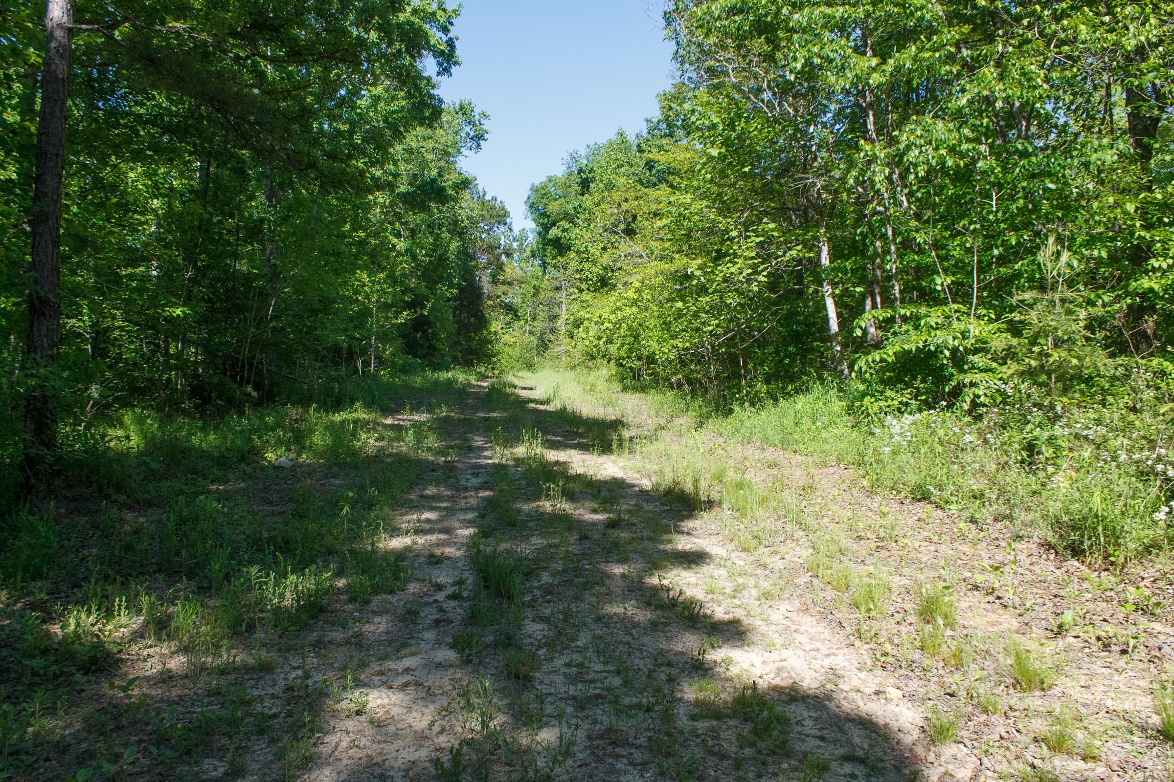 Riverbend Tract 8 photo 8