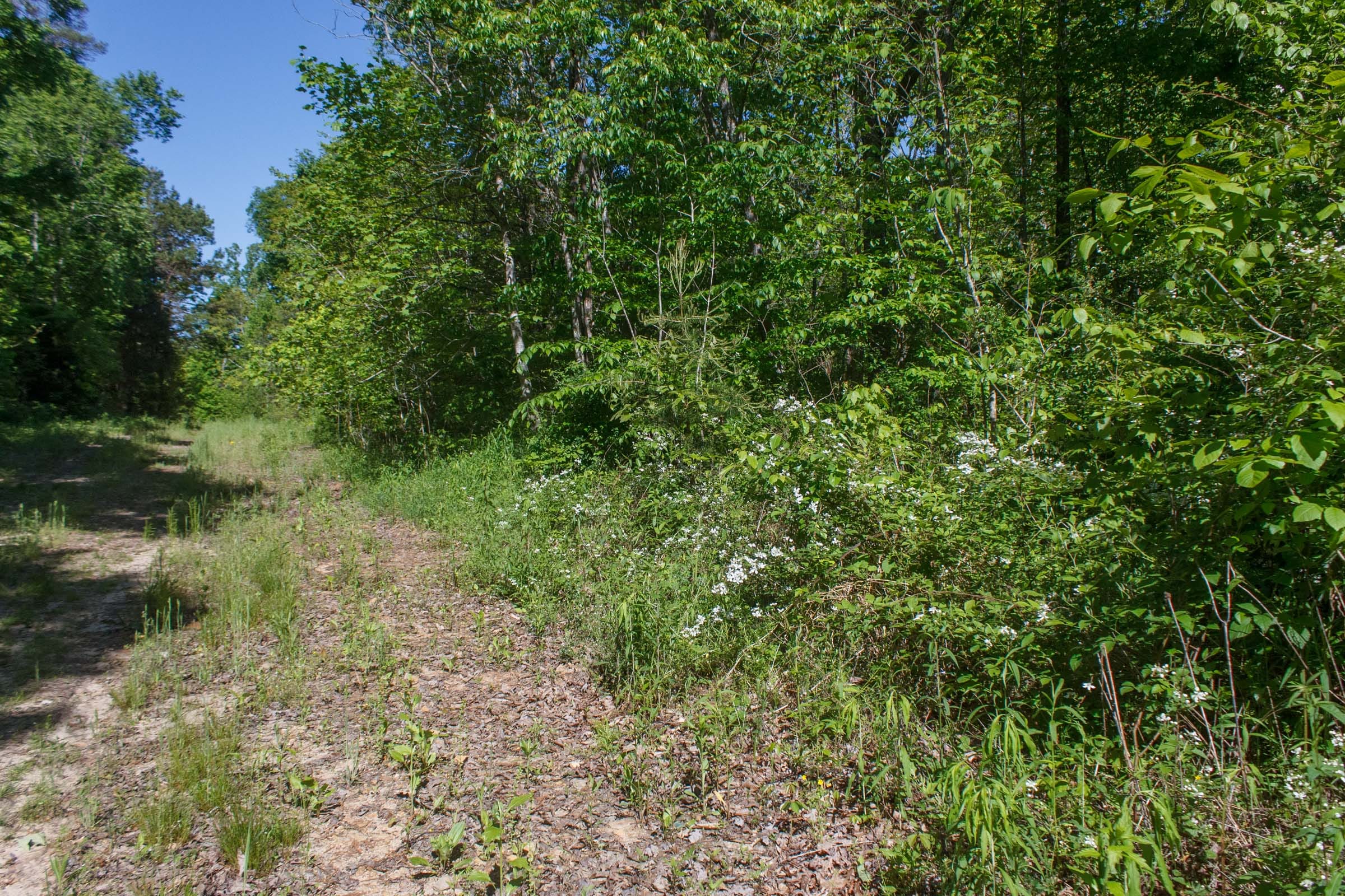 Riverbend Tract 8 photo 9