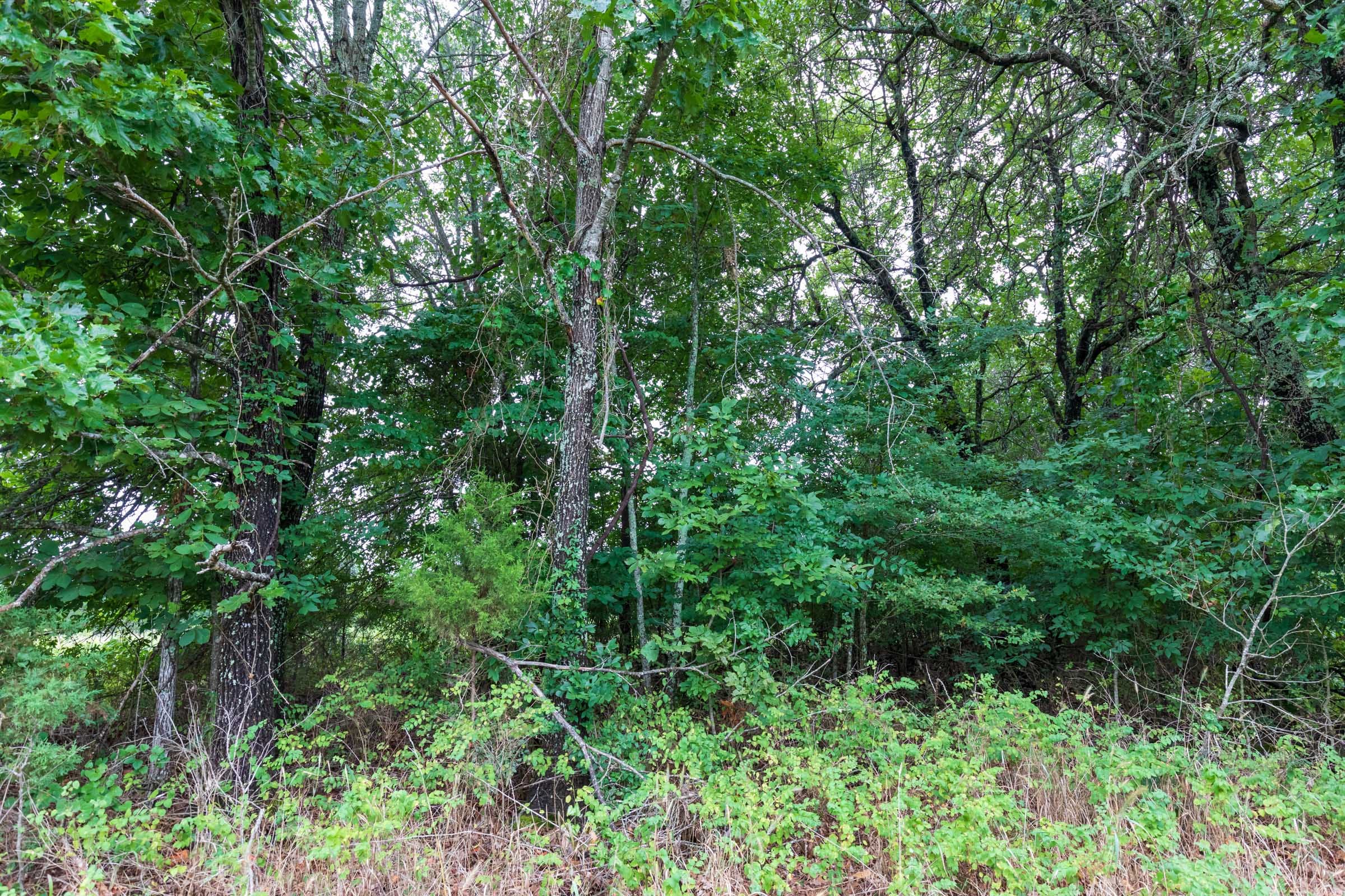 Heritage Bend Tract 7 photo 2