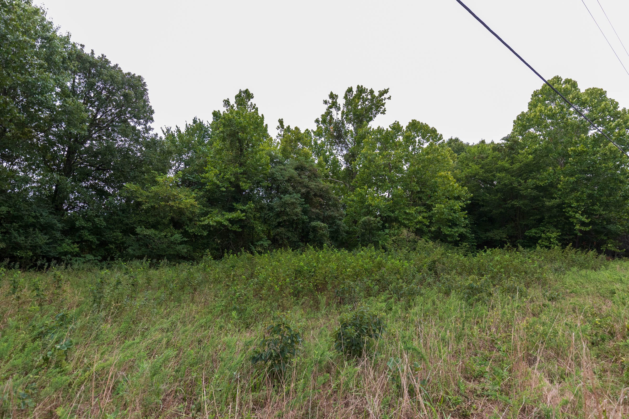 Heritage Bend Tract 7 photo 3