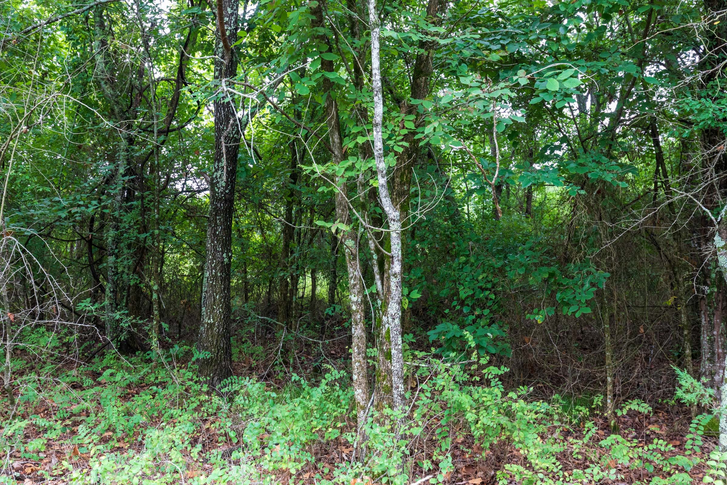 Heritage Bend Tract 7 photo 4