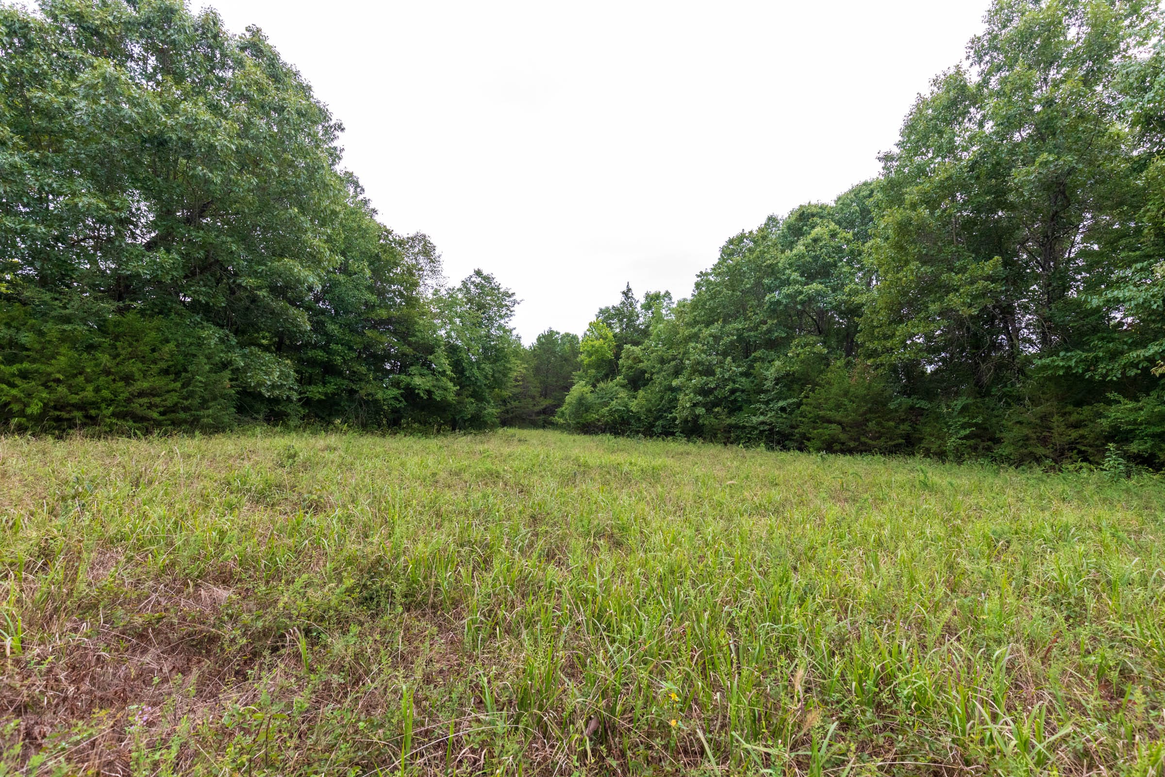 Heritage Bend Tract 7 photo 6