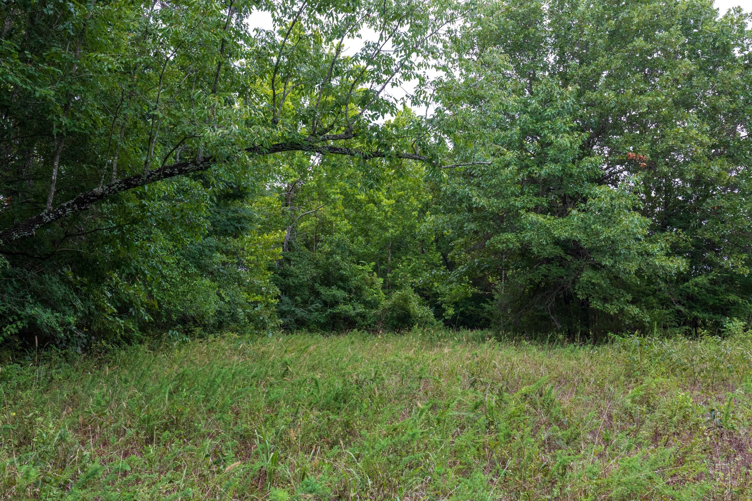 Heritage Bend Tract 7 photo 8