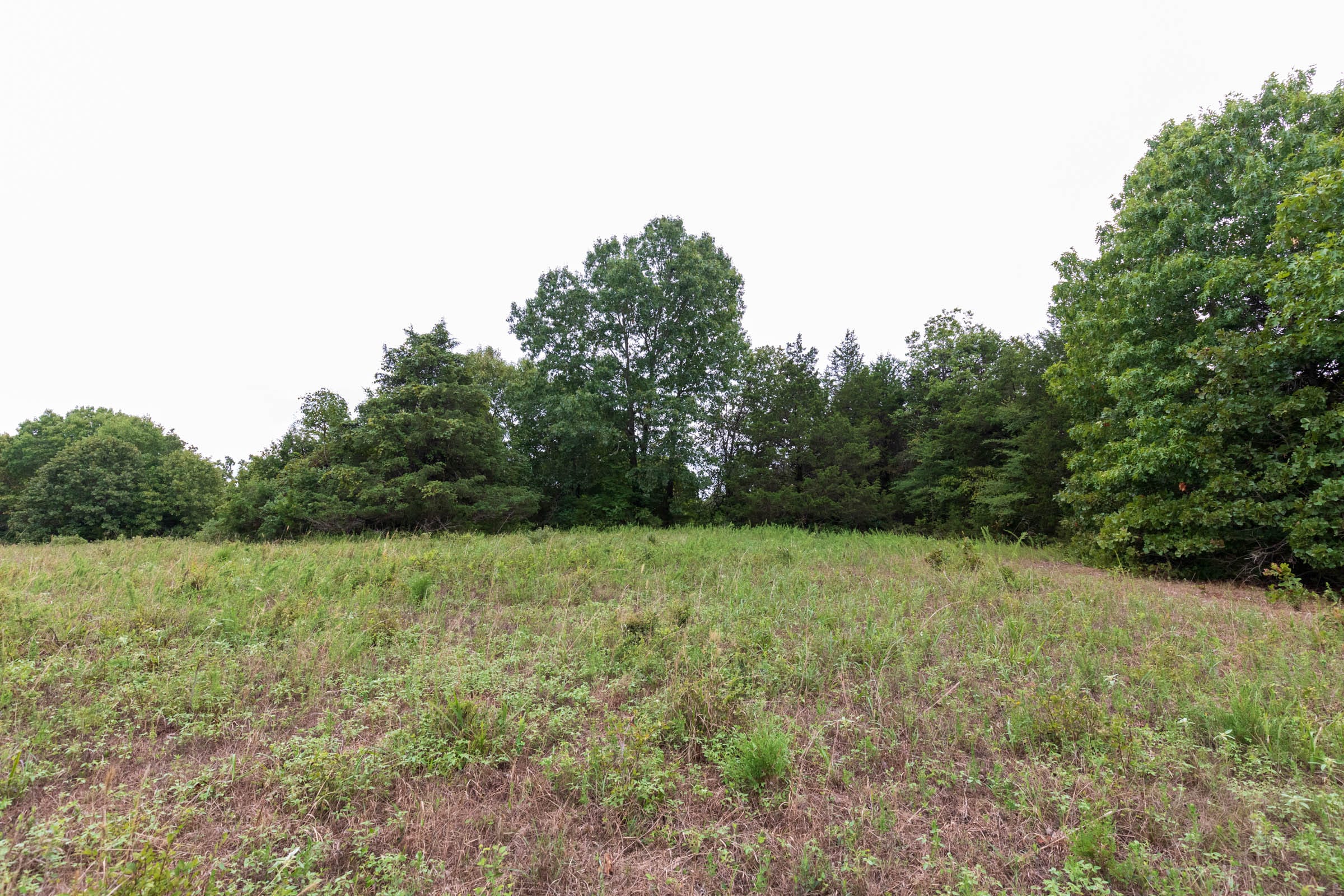 Heritage Bend Tract 7 photo 9