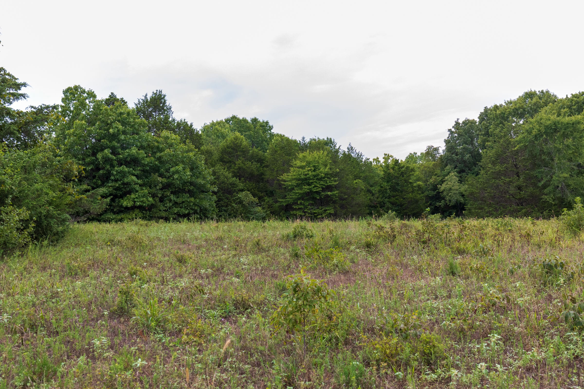Heritage Bend Tract 7 photo 10