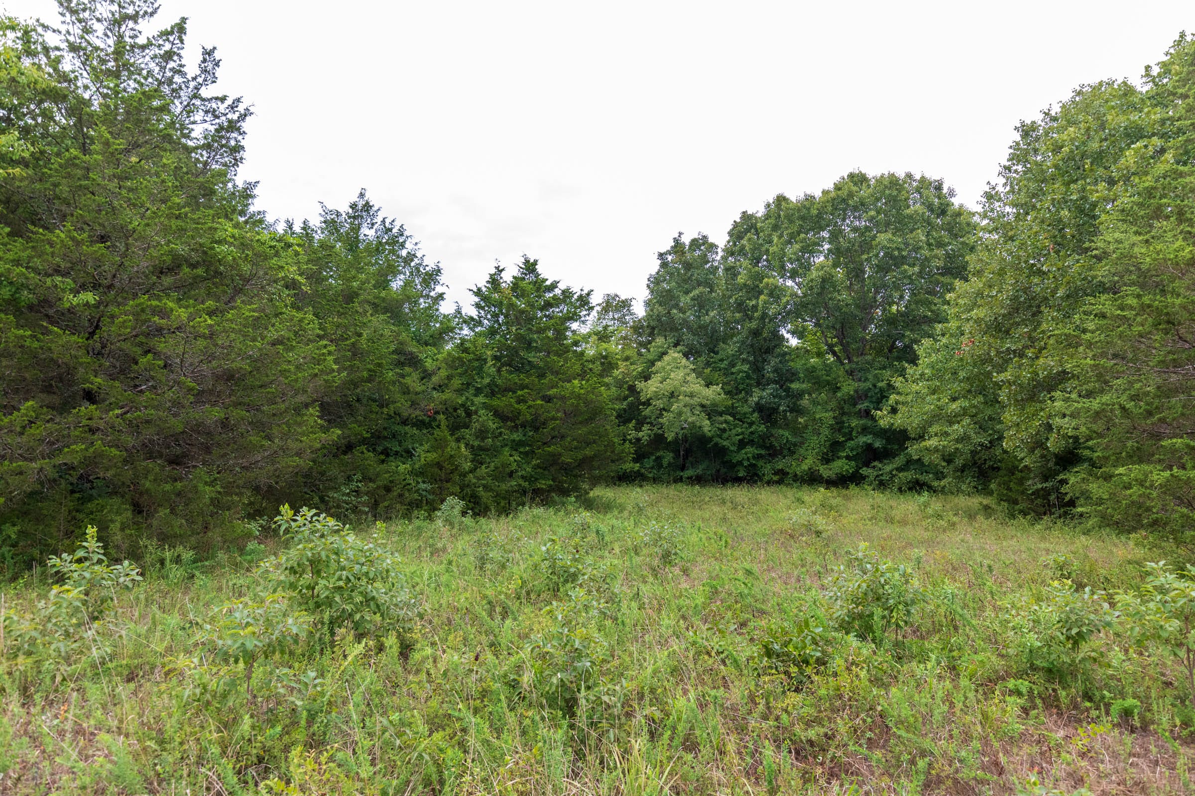 Heritage Bend Tract 7 photo 11