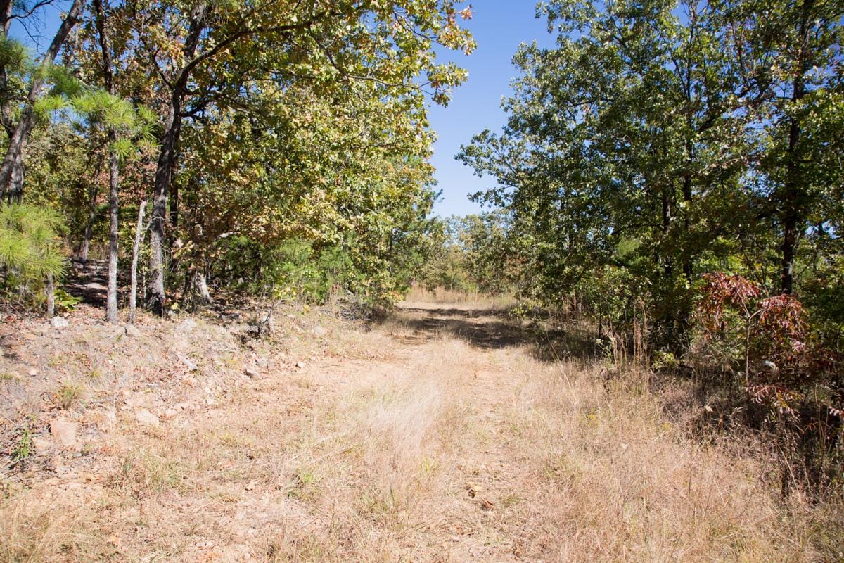 Stone Creek Phase I Tract 111 photo 2
