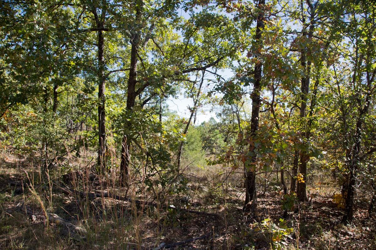 Stone Creek Phase I Tract 111 photo 5