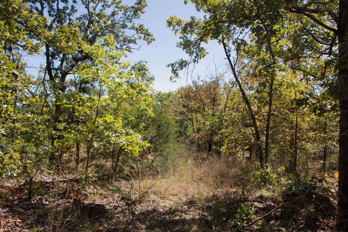 Stone Creek Phase I Tract 111 photo 6