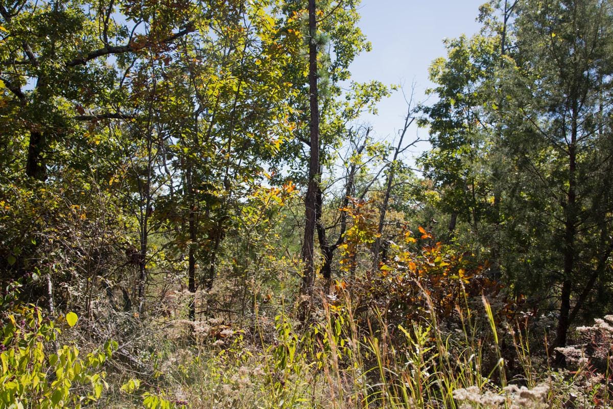 Stone Creek Phase I Tract 111 photo 9