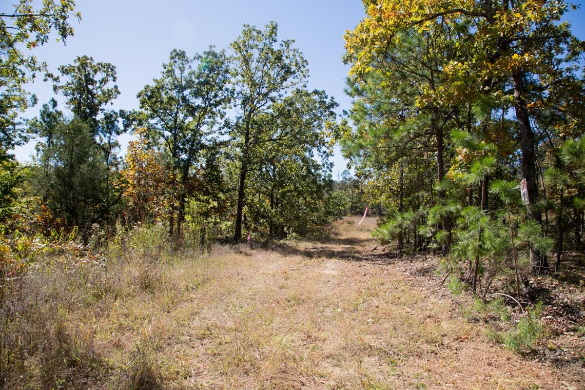 Stone Creek Phase I Tract 111 photo 11