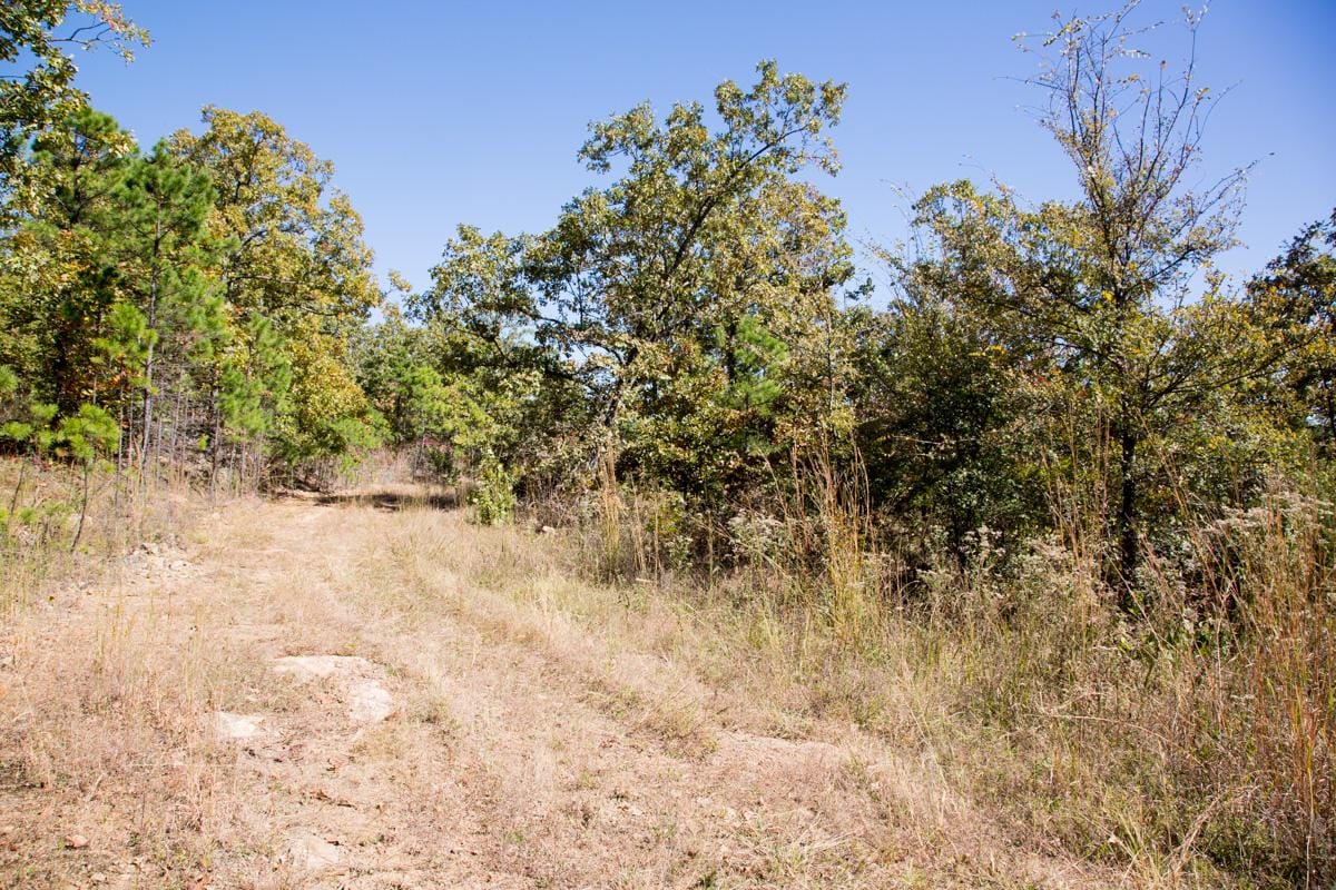 Stone Creek Phase I Tract 111 photo 7
