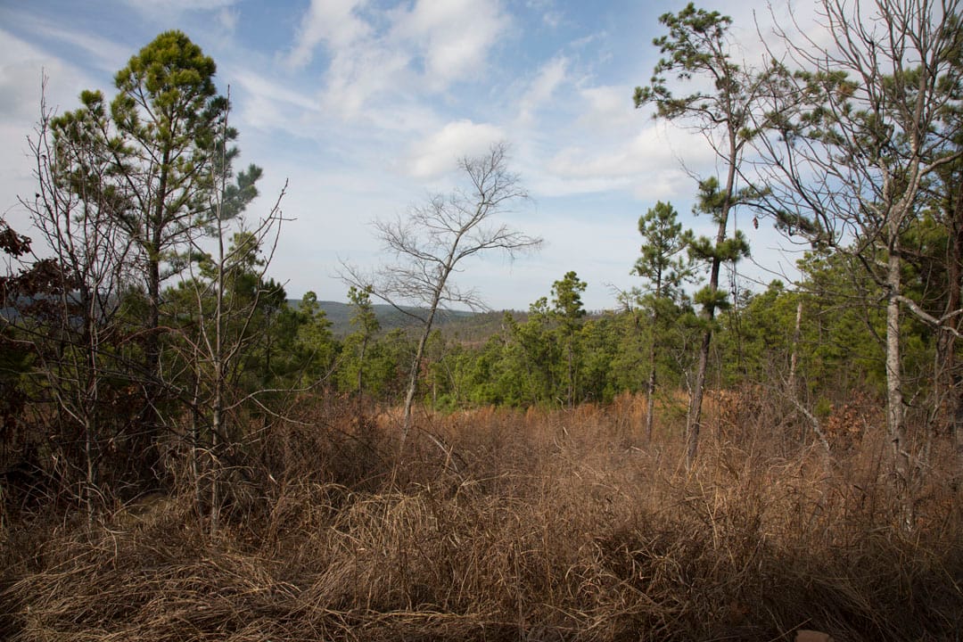 Stone Creek Phase III Tract 70 photo 2