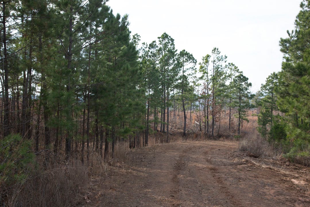 Stone Creek Phase III Tract 70 photo 3