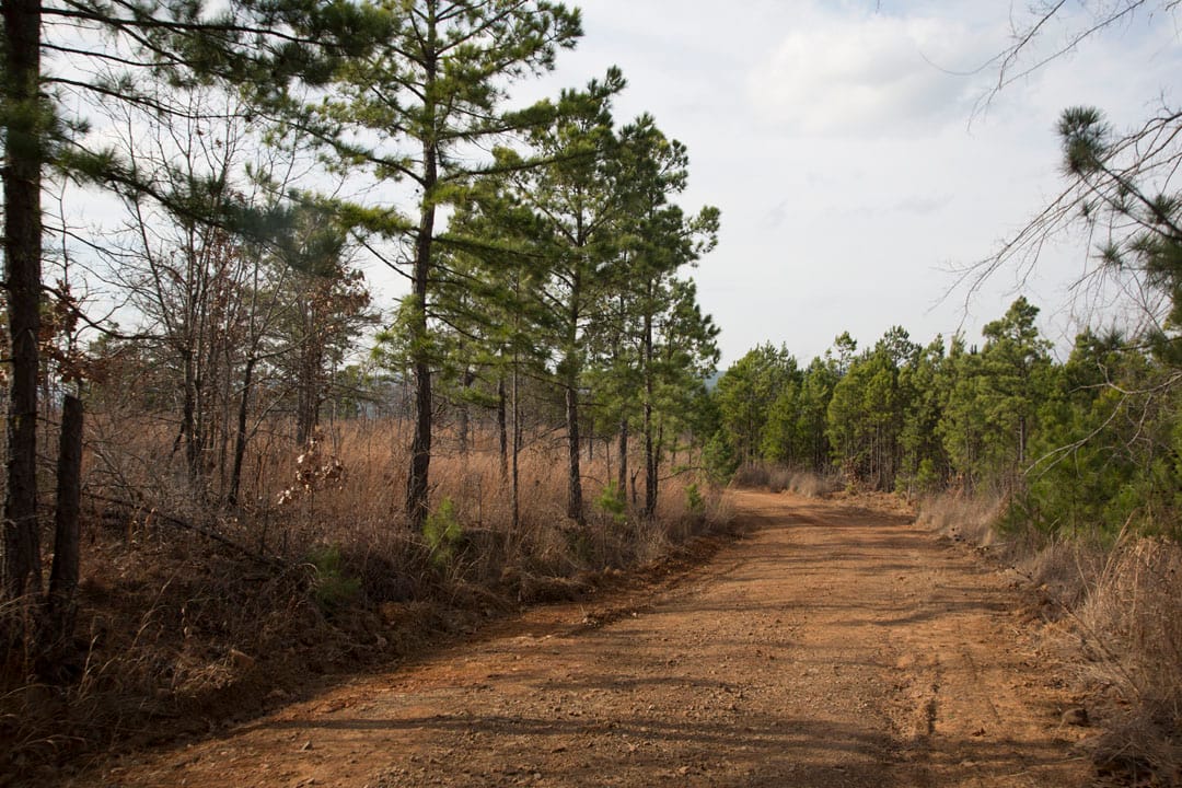 Stone Creek Phase III Tract 70 photo 4
