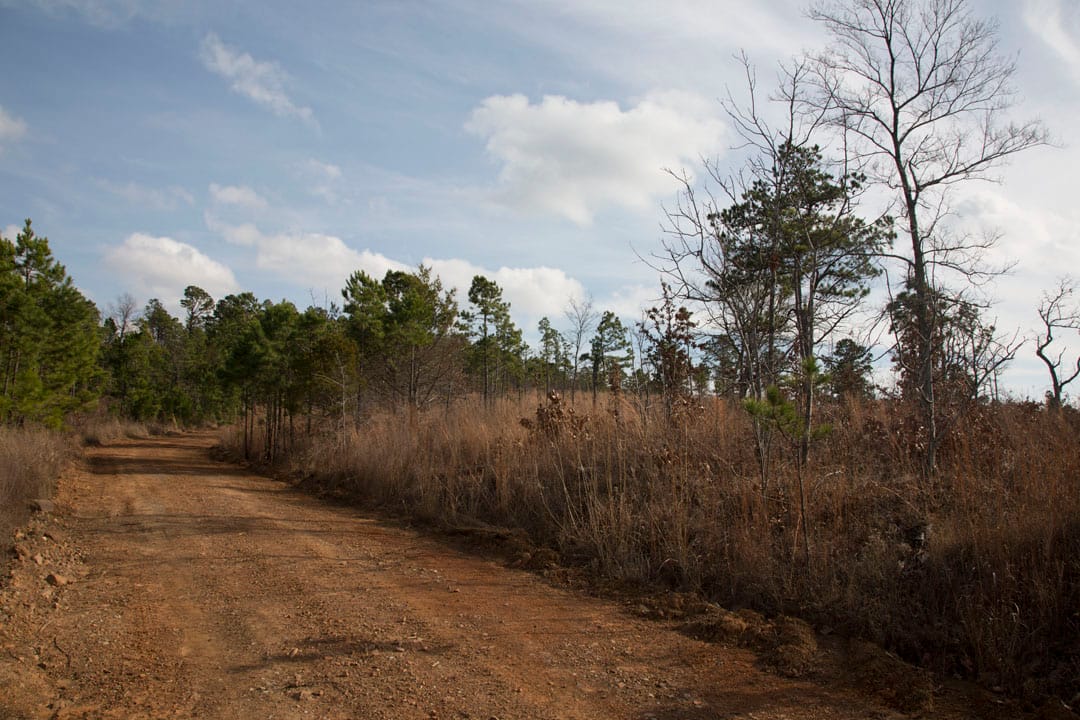 Stone Creek Phase III Tract 70 photo 5