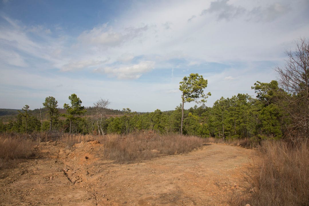 Stone Creek Phase III Tract 70 photo 6