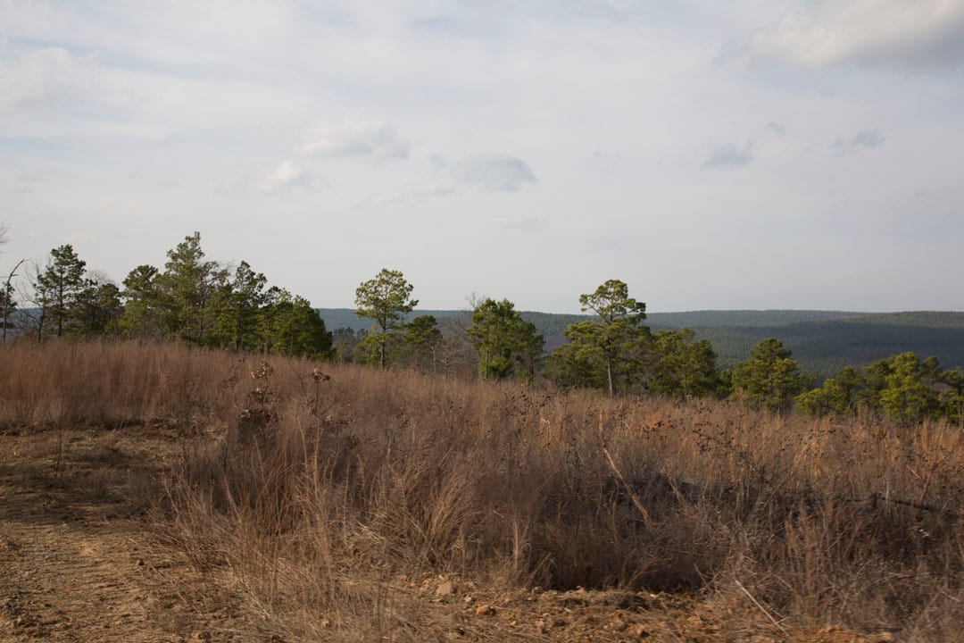 Stone Creek Phase III Tract 70 photo 9