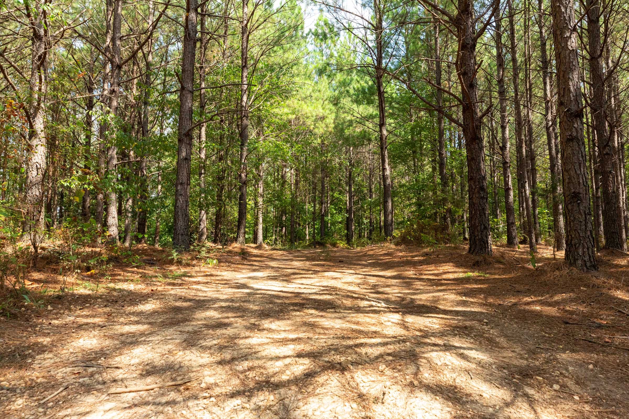 Harvest Ridge Tract 9 photo 8