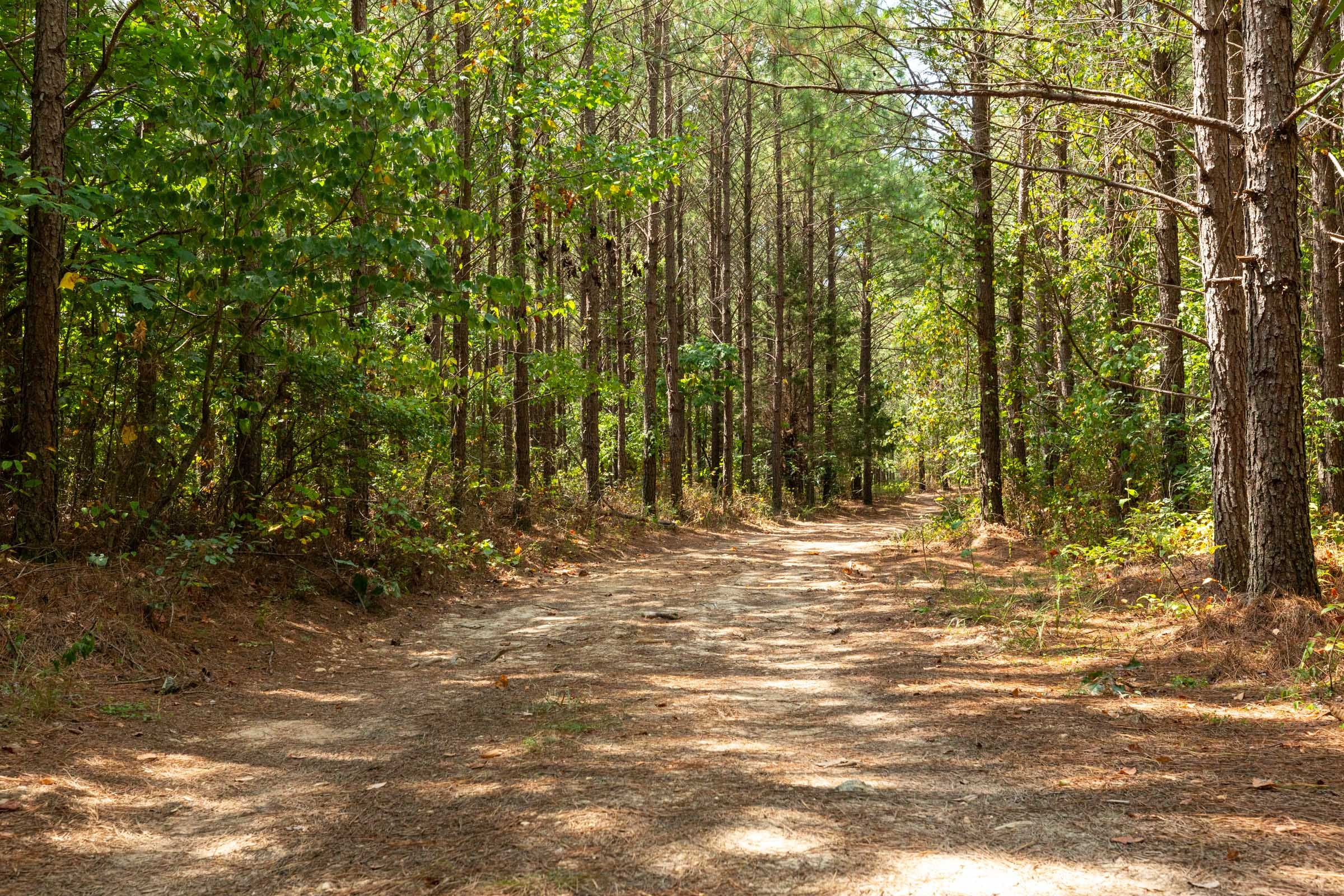 Harvest Ridge Tract 9 photo 1