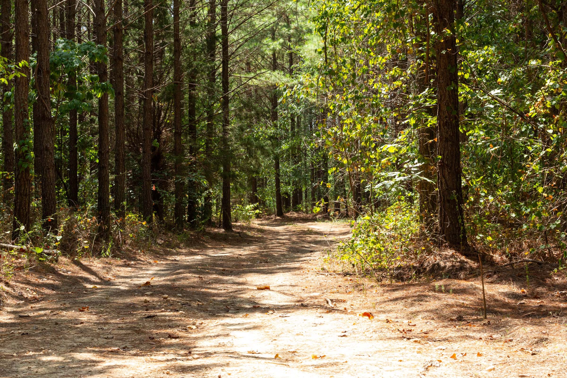 Harvest Ridge Tract 9 photo 4